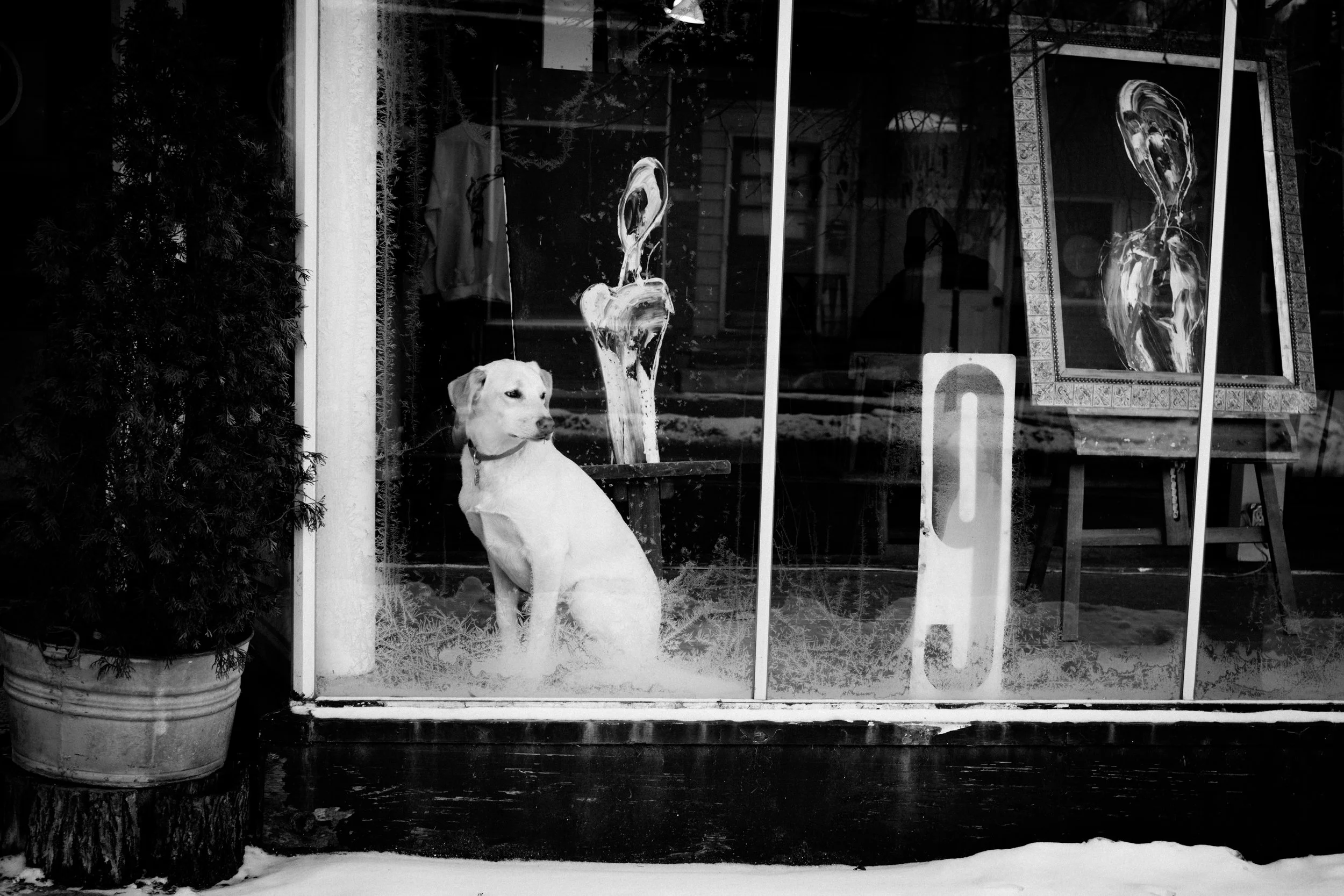 Jennie 6\22\2025-1.jpeg