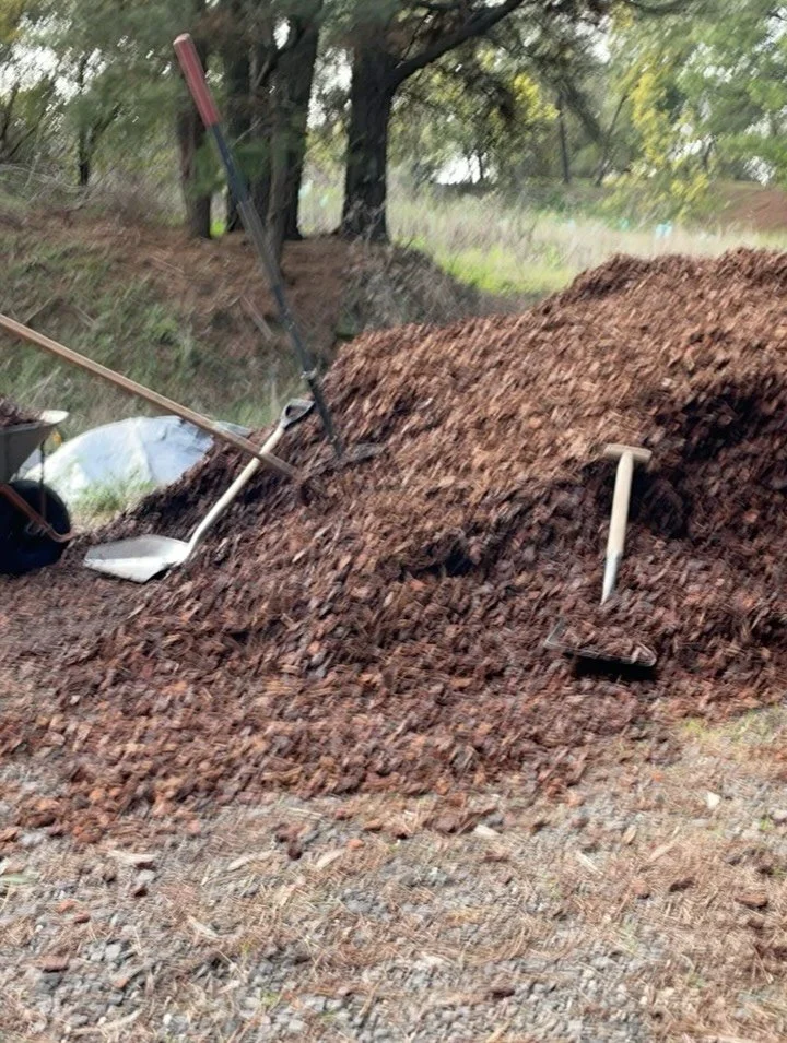 The team moved 22mtrs of mulch in those barrows today. #boss #garden #legends