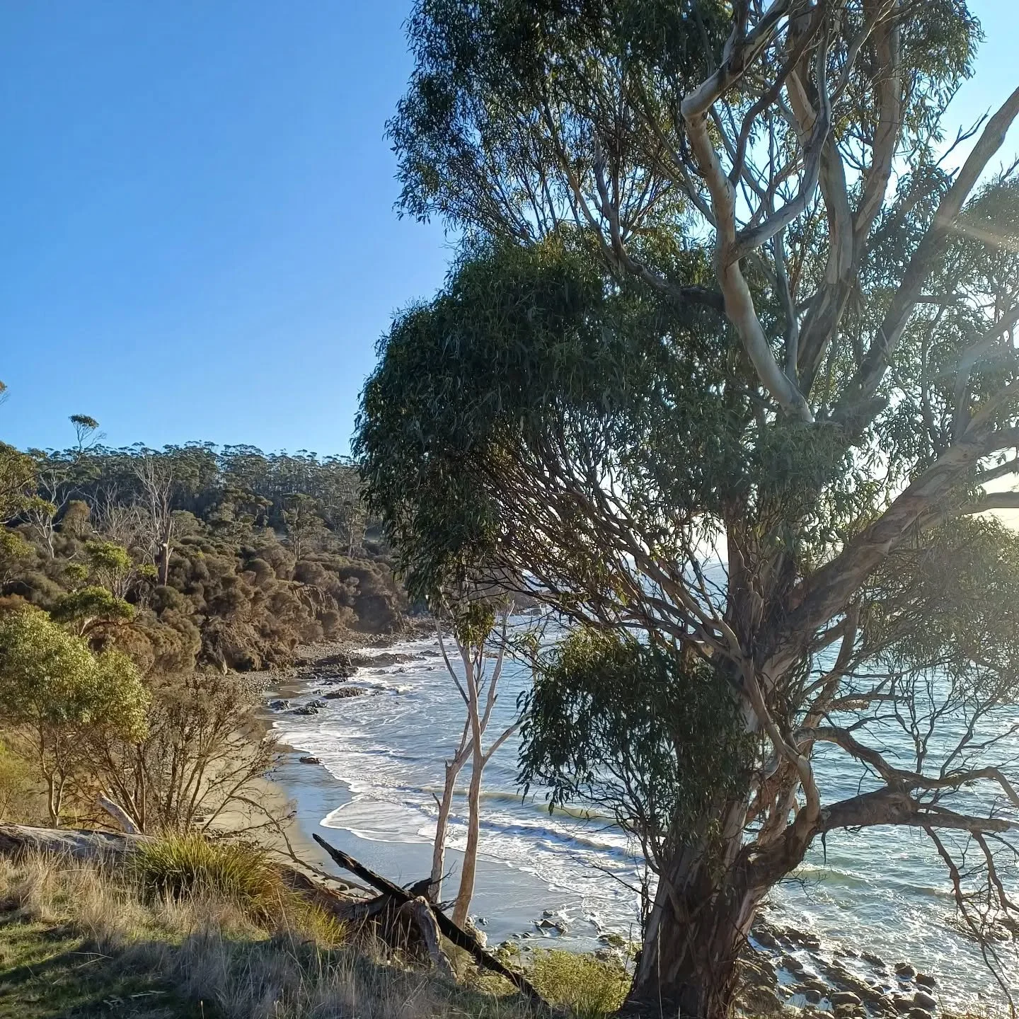 r n' r #brunyisland #familygetaway #family #roadtrip #spiritoftasmania #happy #wilderness