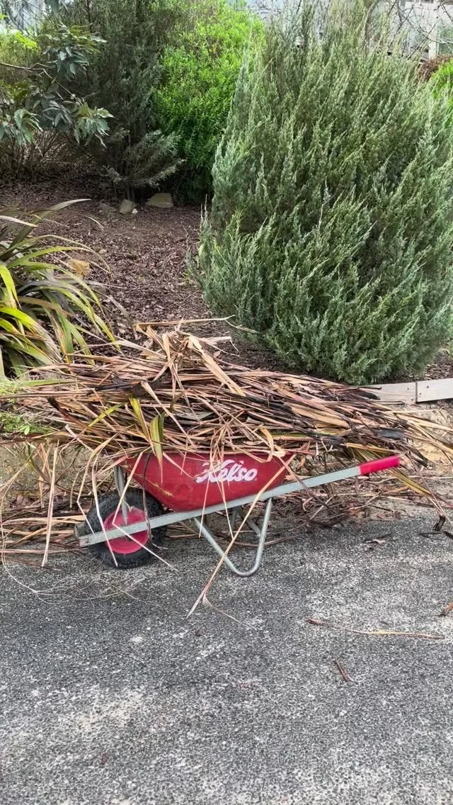 A little bit freaking cold and wet today Daylesford….thank you very much. Crew moved 16mtrs of mulch though…Whadda crew. #daylesford #gardenmaintenance #spring #cold #rain