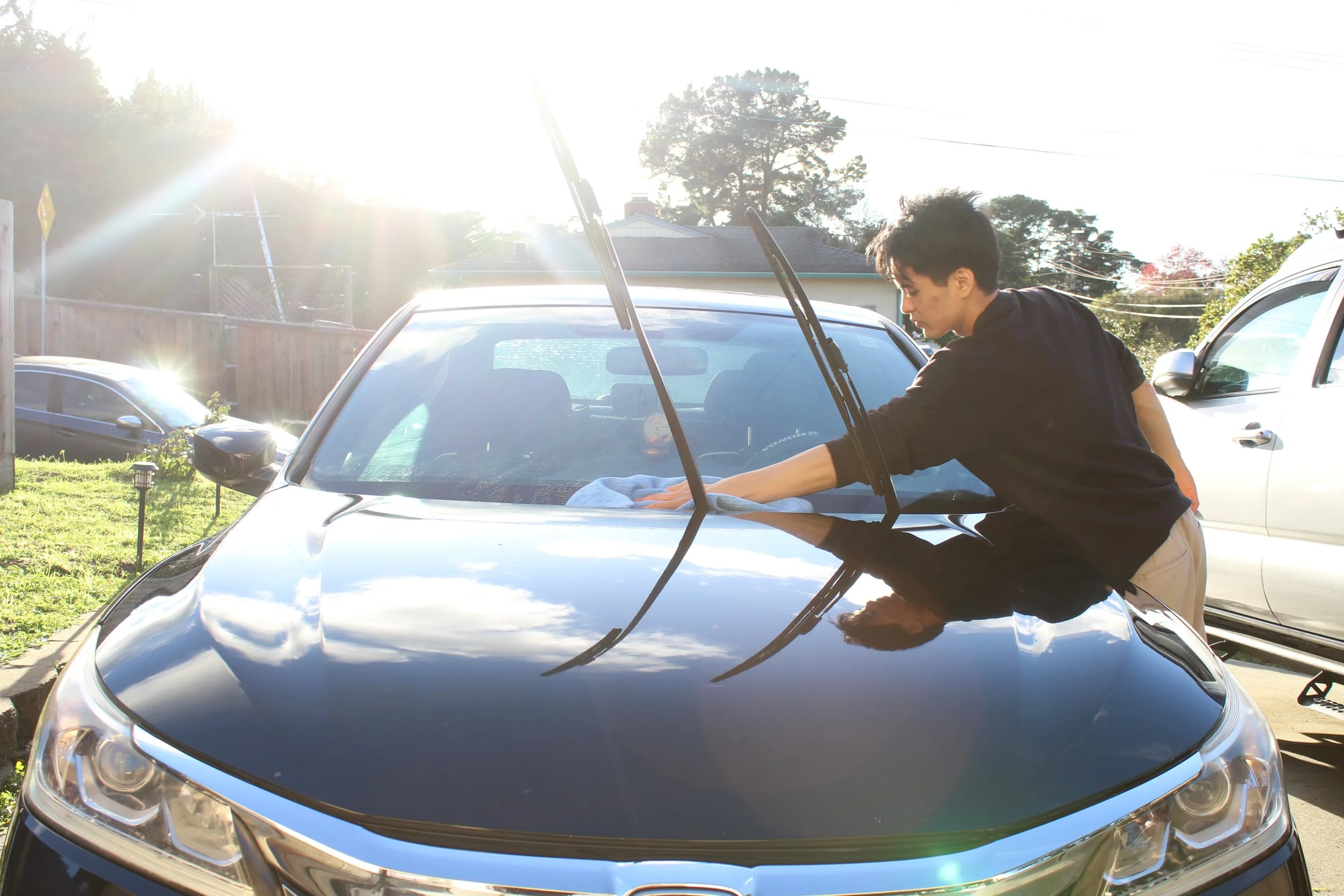 Professional auto detailing