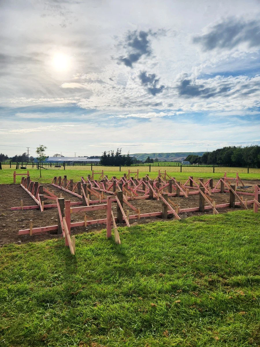 house foundation piles done by oxen limited on a residential build site in Auckland