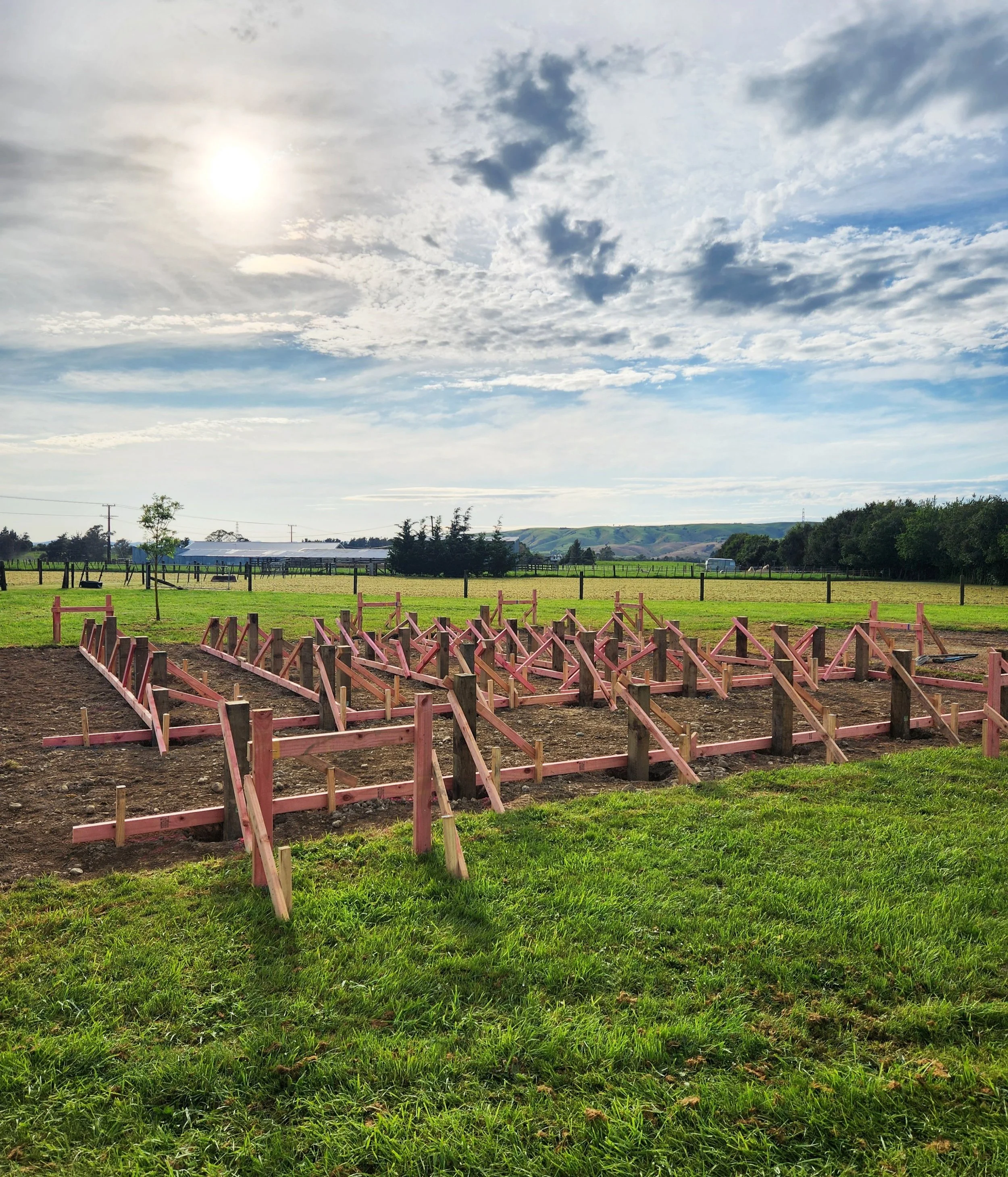 timber pile foundations during construction on a lifestyle property in Rodney