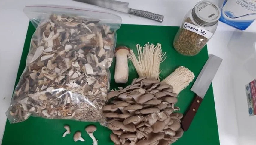 behind the scene finale olympia .PNG