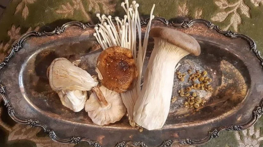 behind the scene made with love olympia .PNG