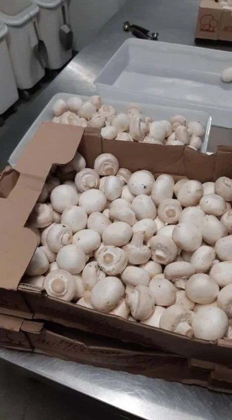 finale olympia behind the scene 6 .PNG