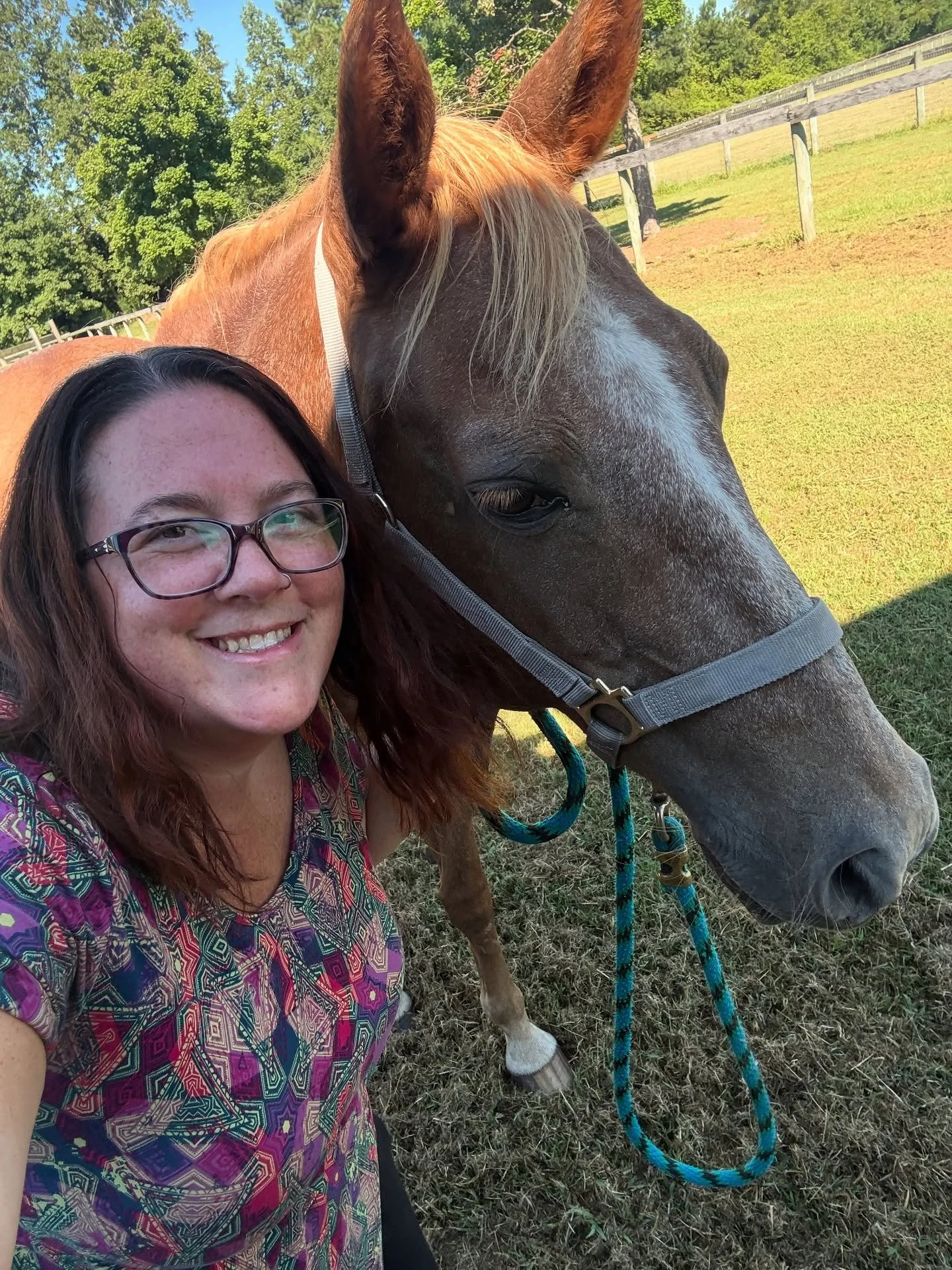 Can&rsquo;t say we will ever be bored with this career. Today, we supported a client living with a traumatic brain injury (TBI) and post traumatic stress disorder (PTSD) during a therapeutic horsemanship workshop at @prancinghorse.nc . 🐴✨

Horses ar