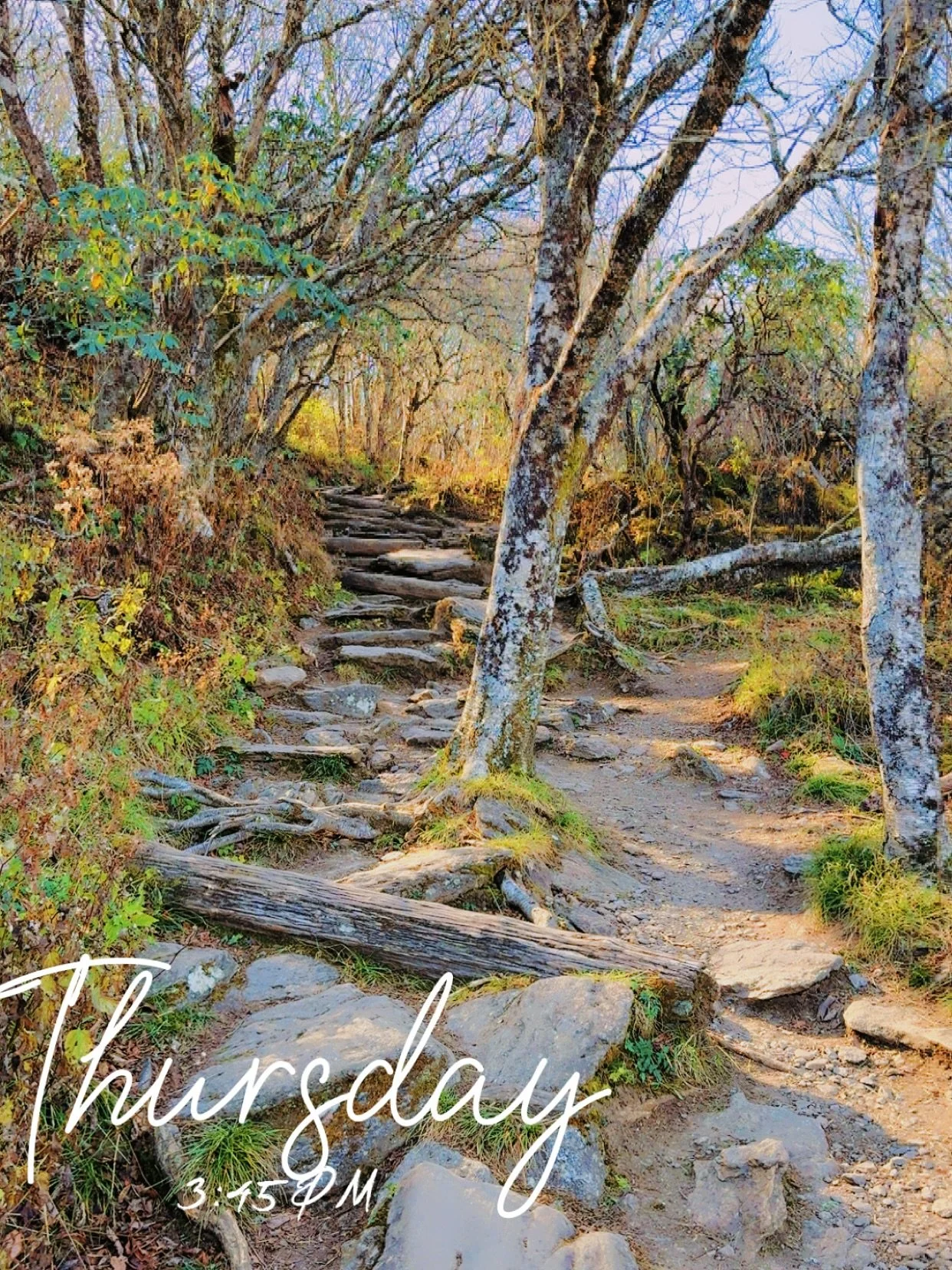 🌿 Nature is truly medicine for the soul.
A work trip to Asheville was just what I needed&mdash;this mountain hike was the perfect reset before the @ncrecreationtherapy Conference tomorrow.

Grateful for the chance to recharge, reconnect with nature,