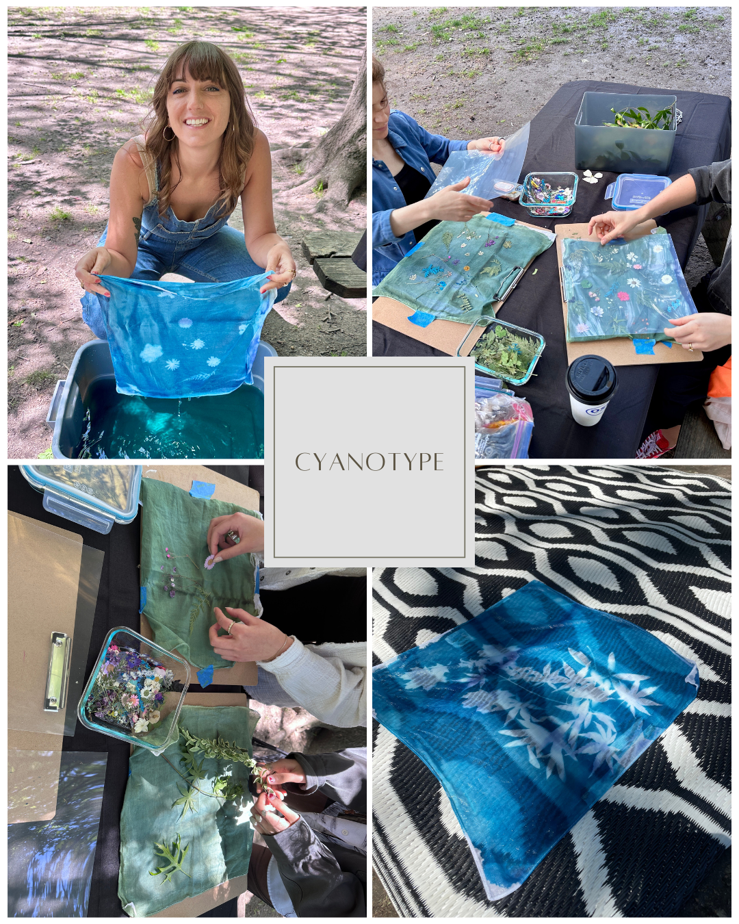 Gallery Cyanotype.png