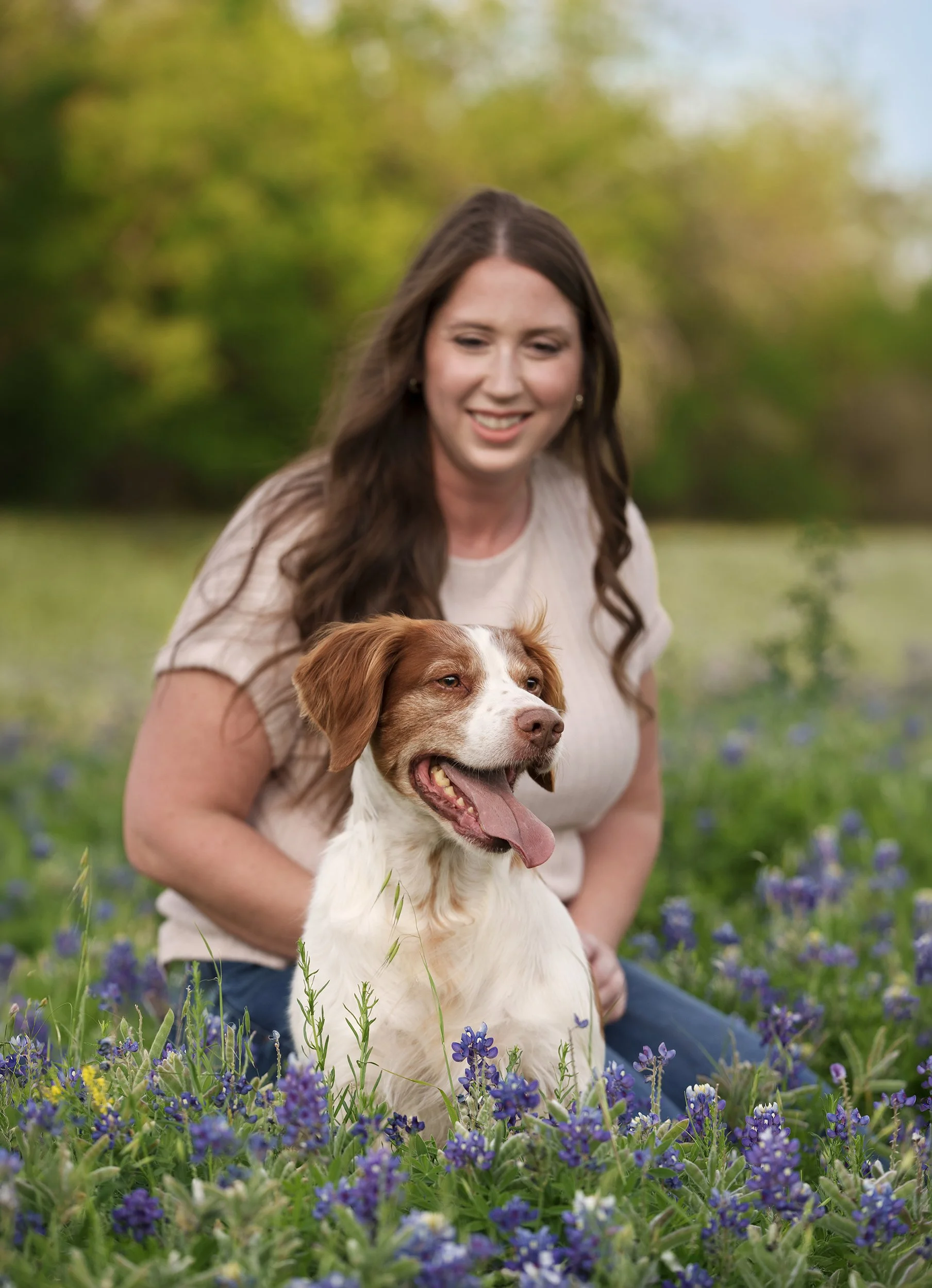 Brittany dog and owner in Texas bluebonnets