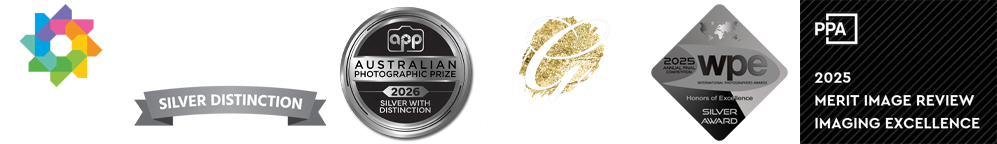 award badges for photographer Jessica Carlson of Flashpoint Photography