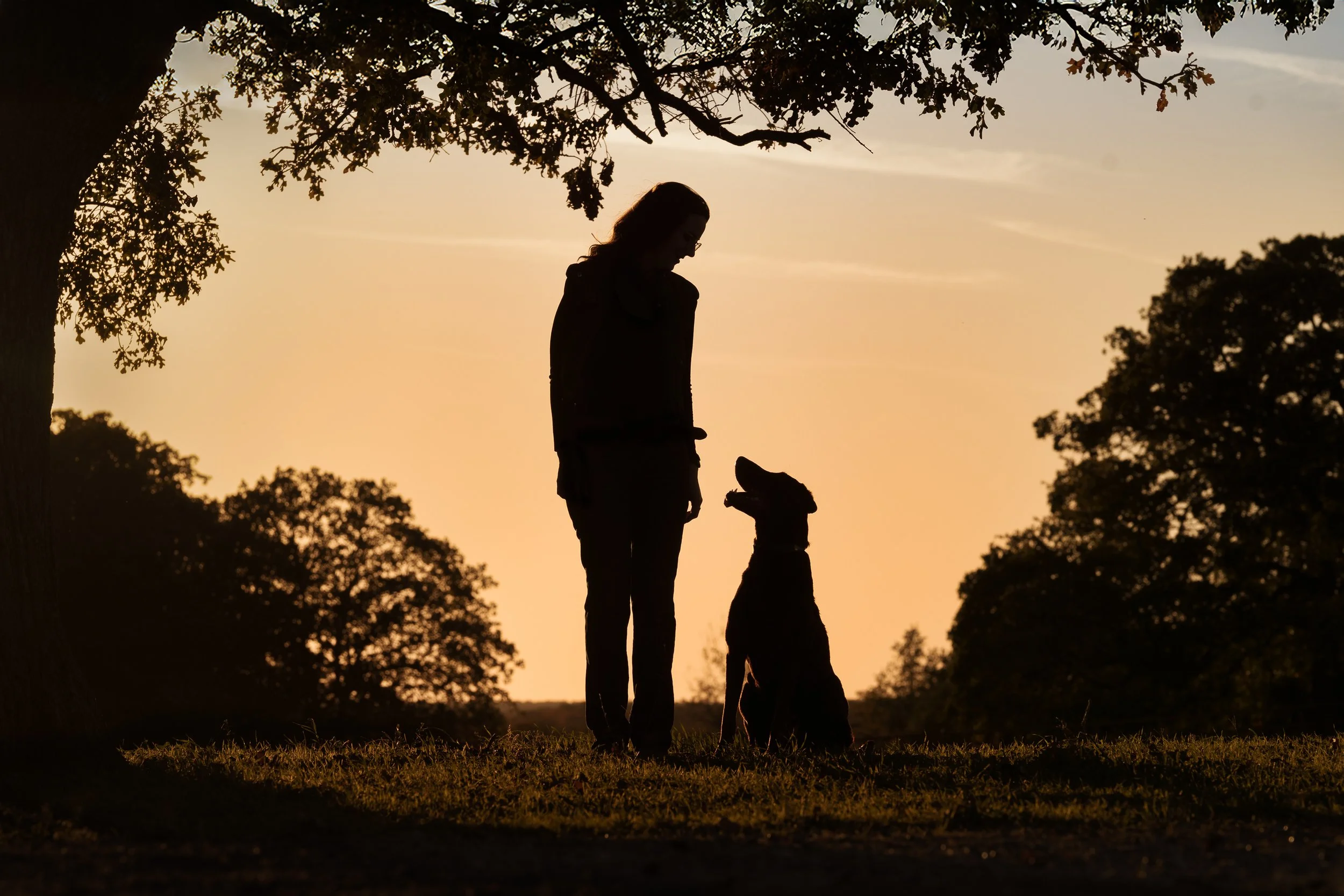 Dog and owner silhouette at sunset on the LBJ Grasslands in north Texas, photo by Jessica Carlson Flashpoint Photography