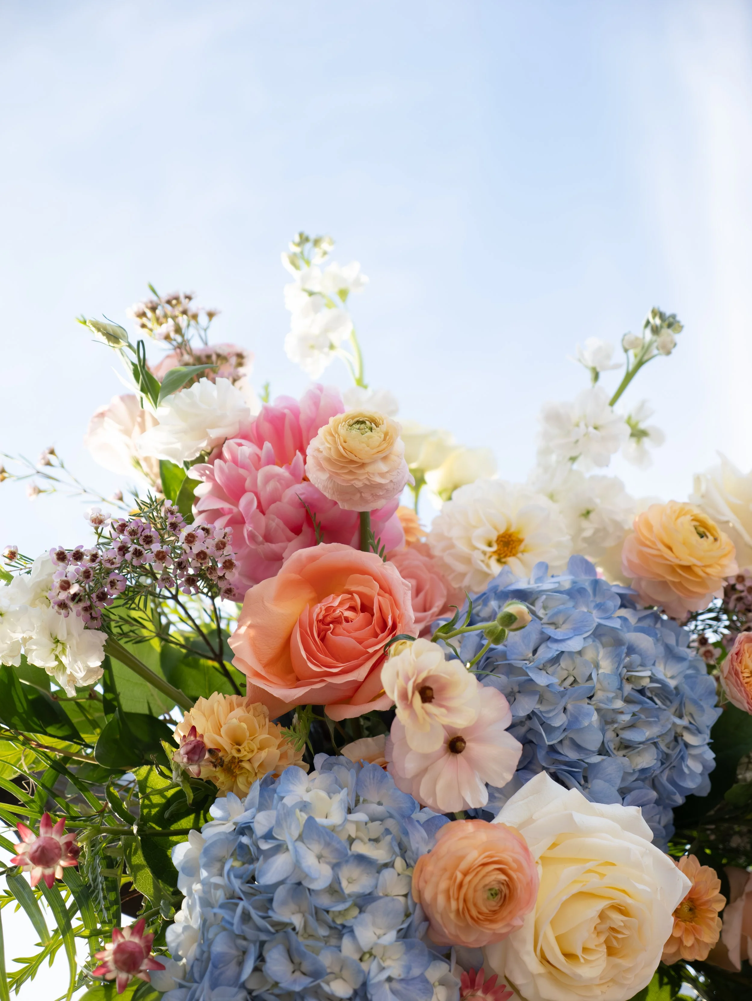 boda jk 2.jpg