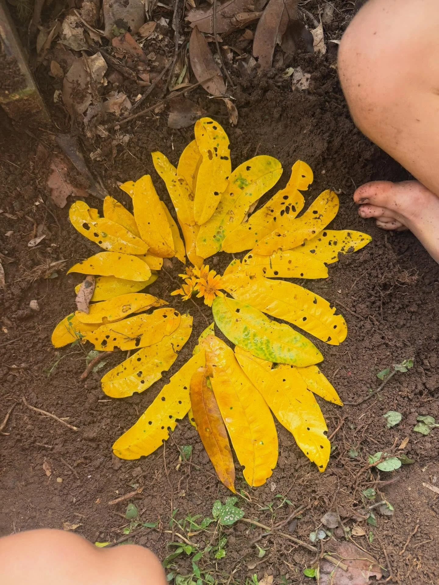 Today we said good bye to Journey our albino snake who&rsquo;s been around for almost as long as River 💛
 
Journey was pure magic, we did a lot of energy work together physically in the past life regression sessions and energetically in many journey
