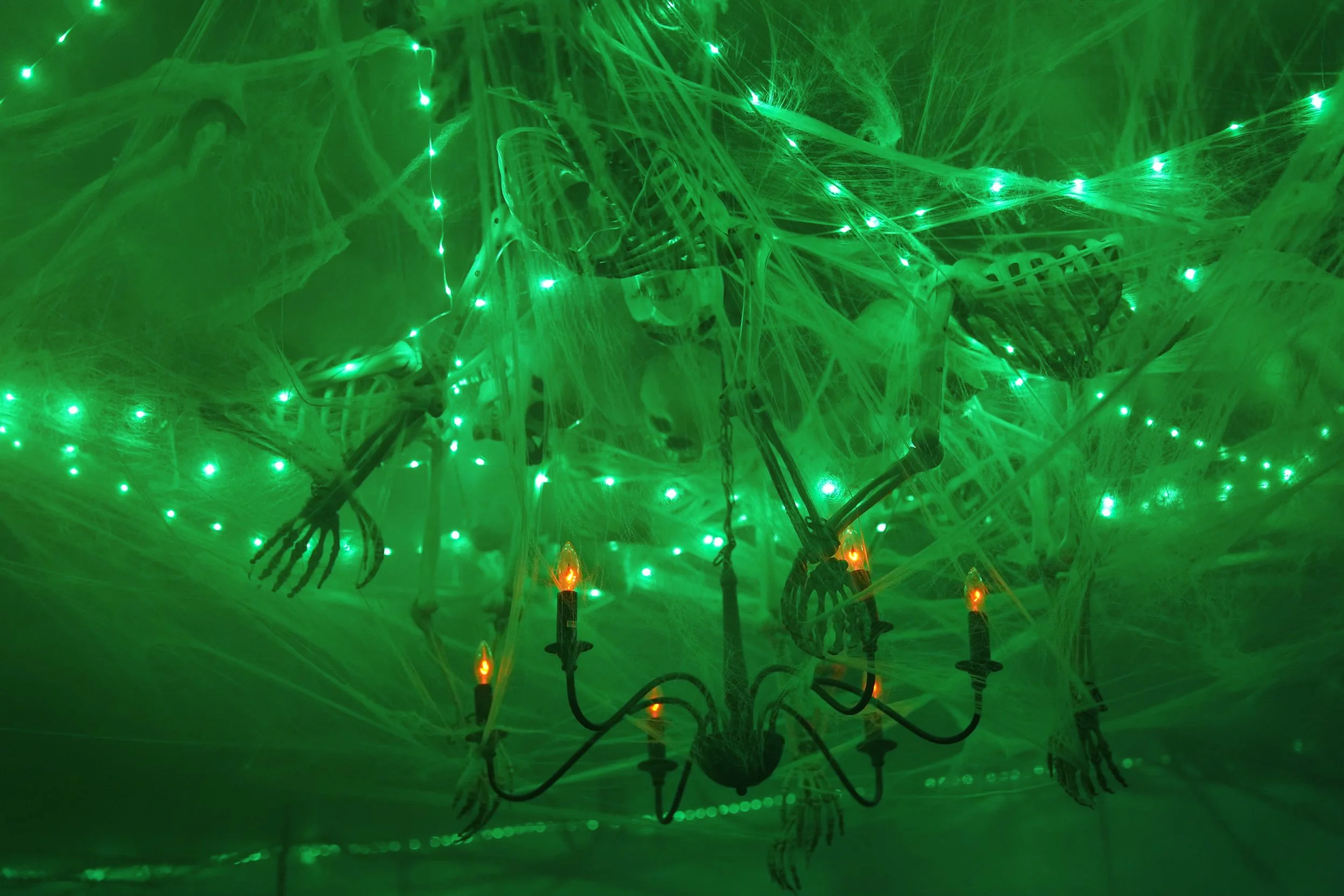 © Daniel Checki 2024