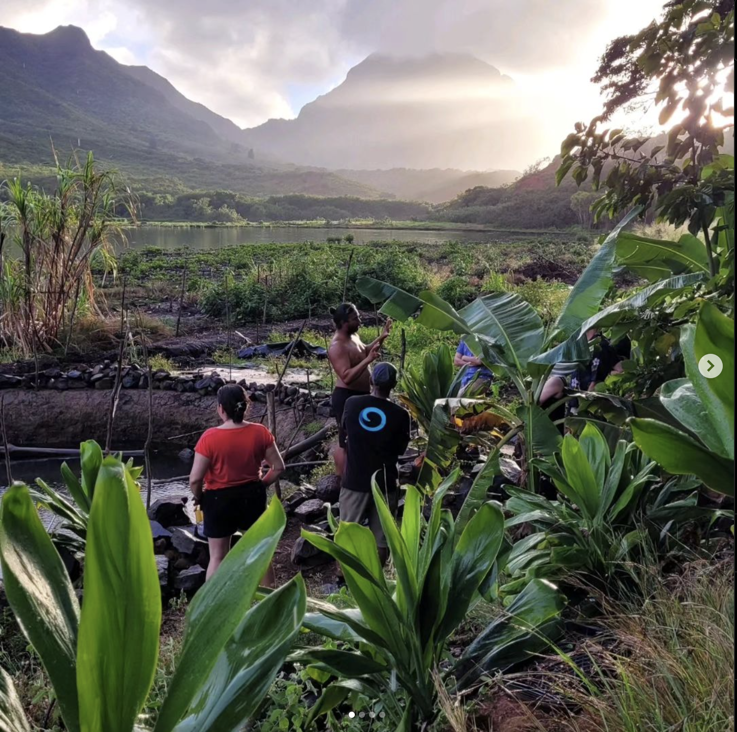 Screenshot 2024-06-24 at 08.48.15.png