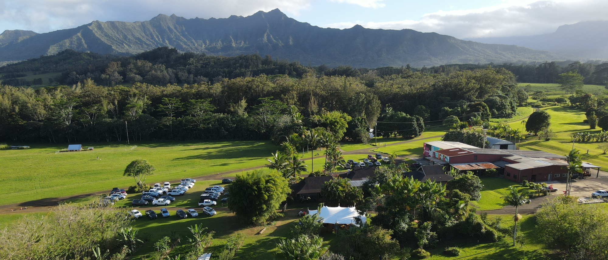 Untitled (7 x 3 in) (1).png