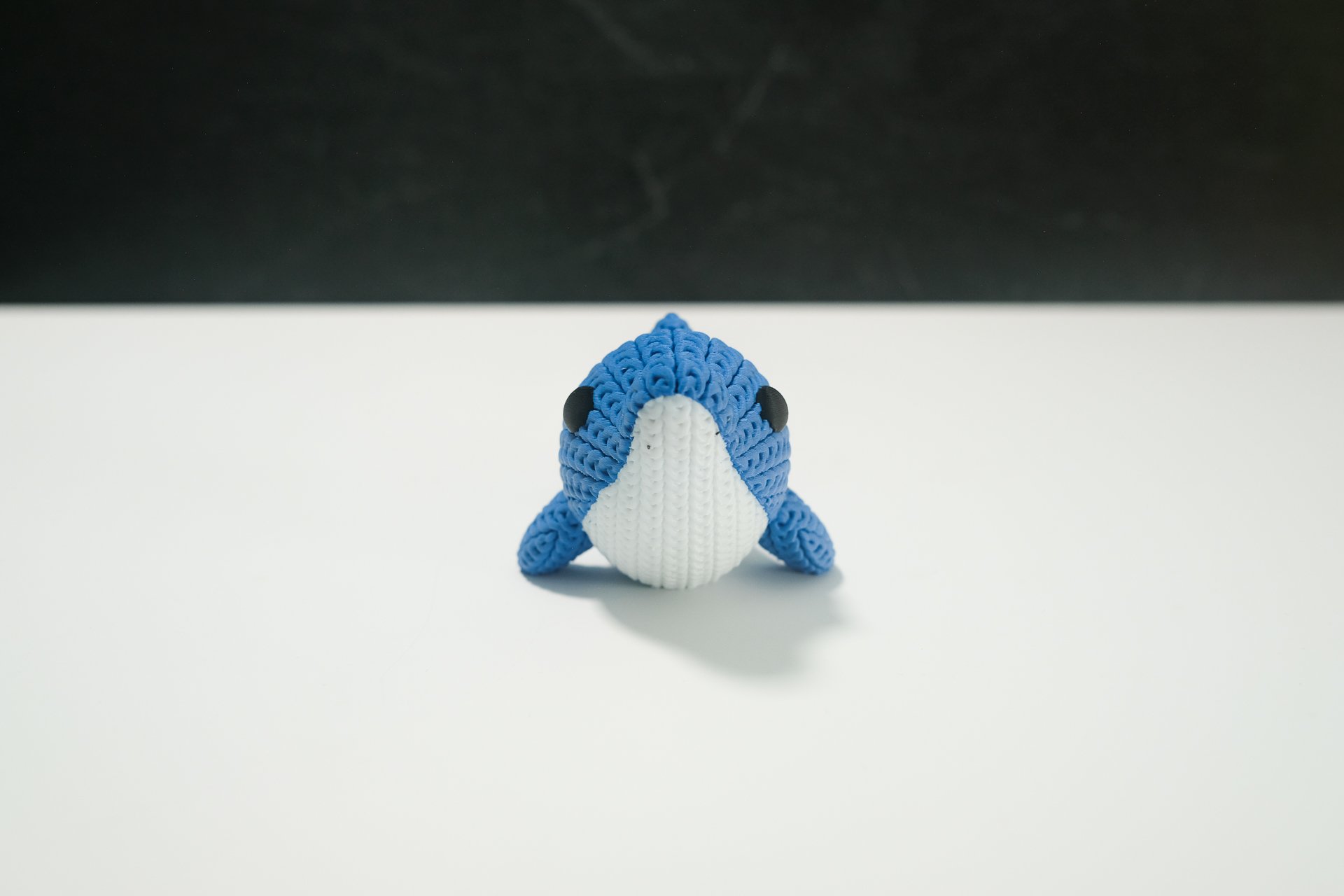 Dolphin