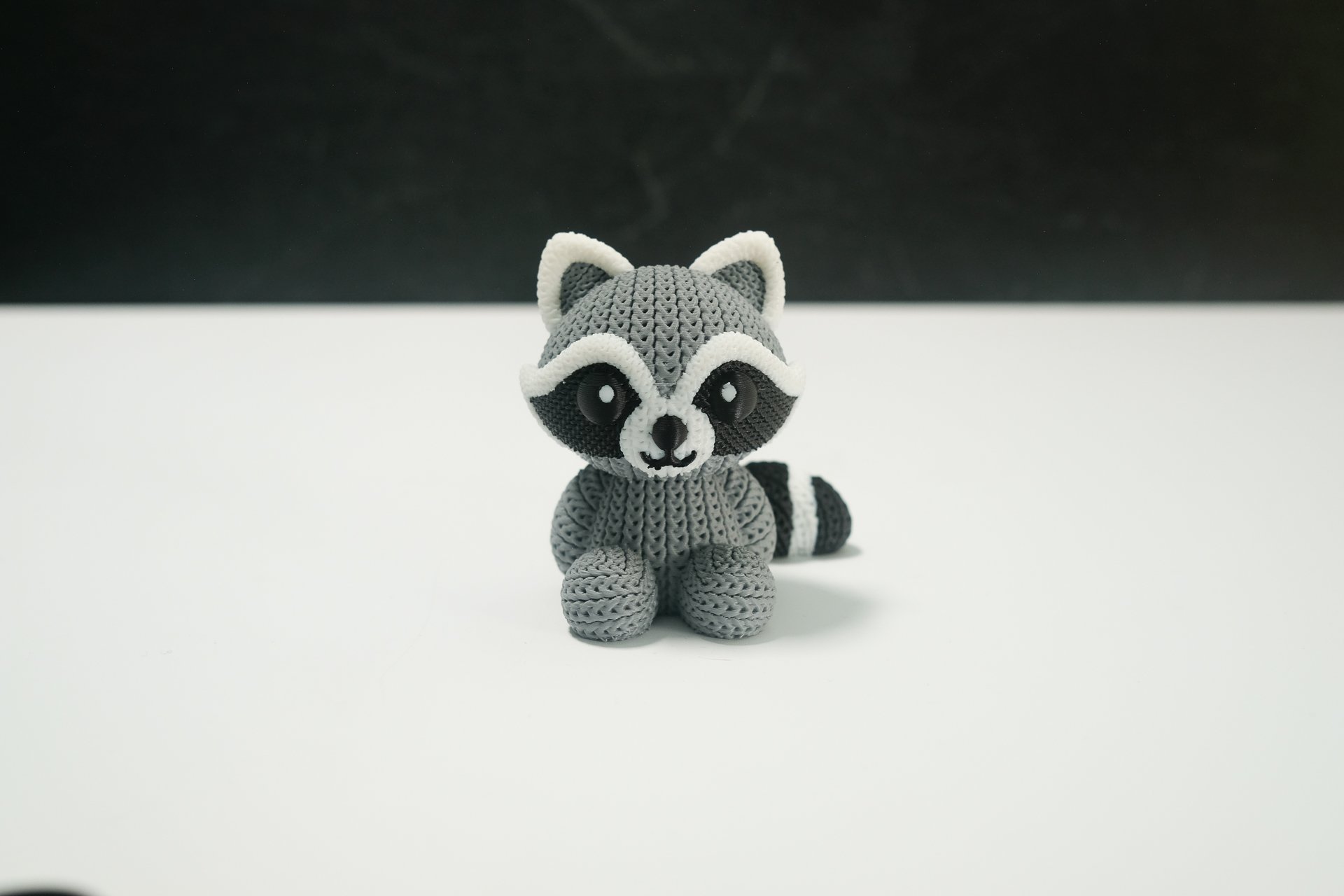 Racoon