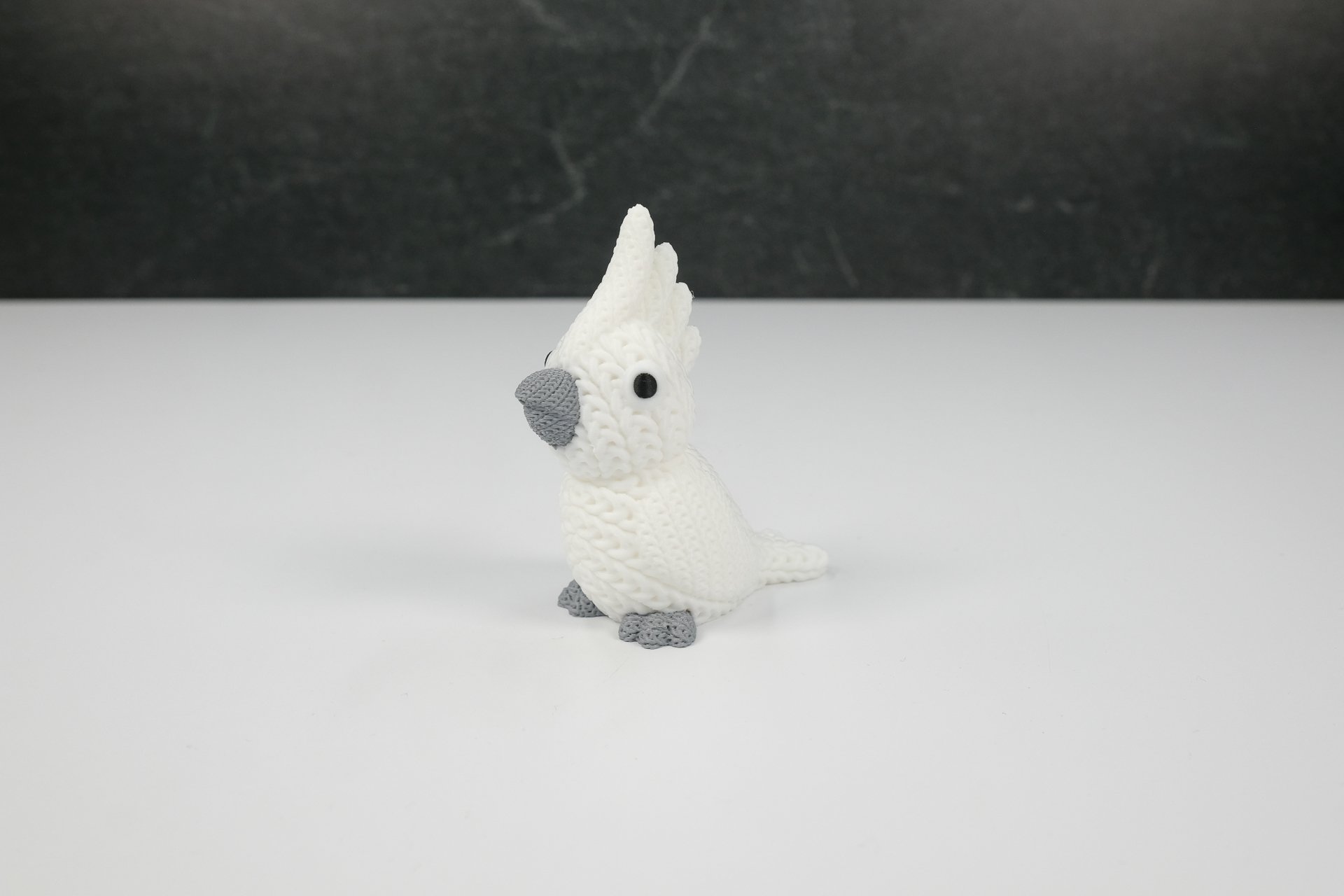 Cockatoo