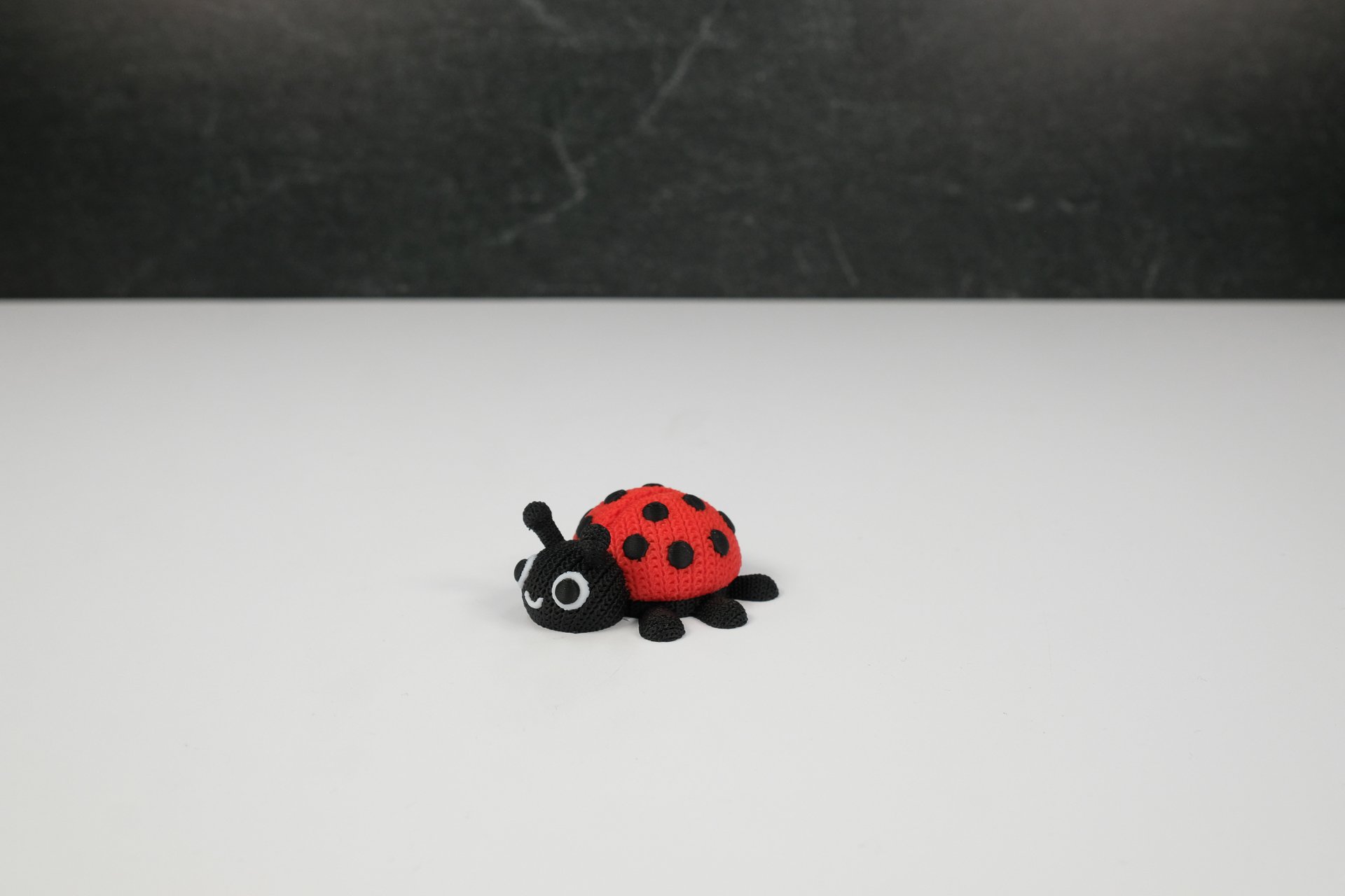 Ladybug