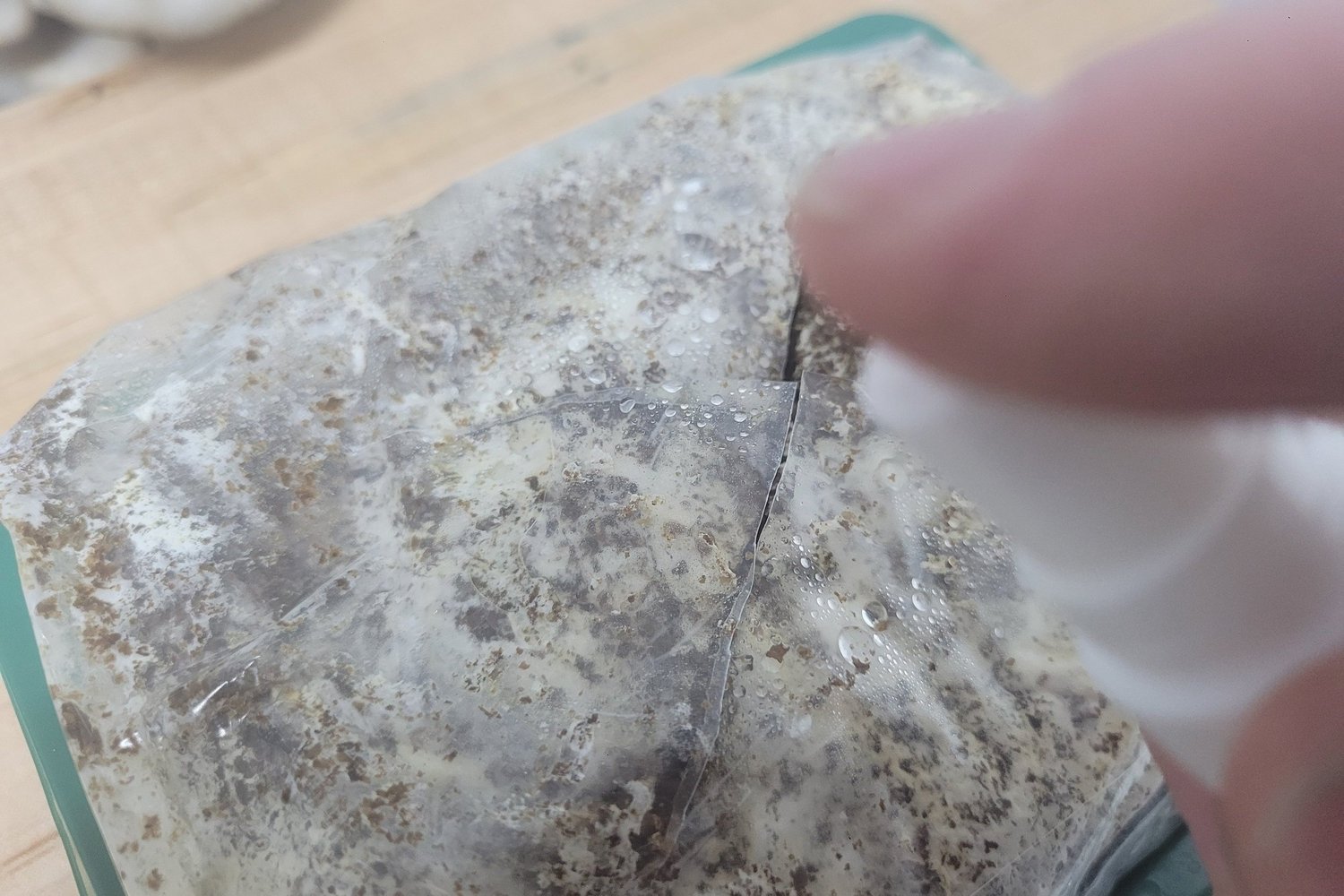 Close-up of a person's hand peeling off a transparent plastic protective film from a flat surface with water droplets on it.