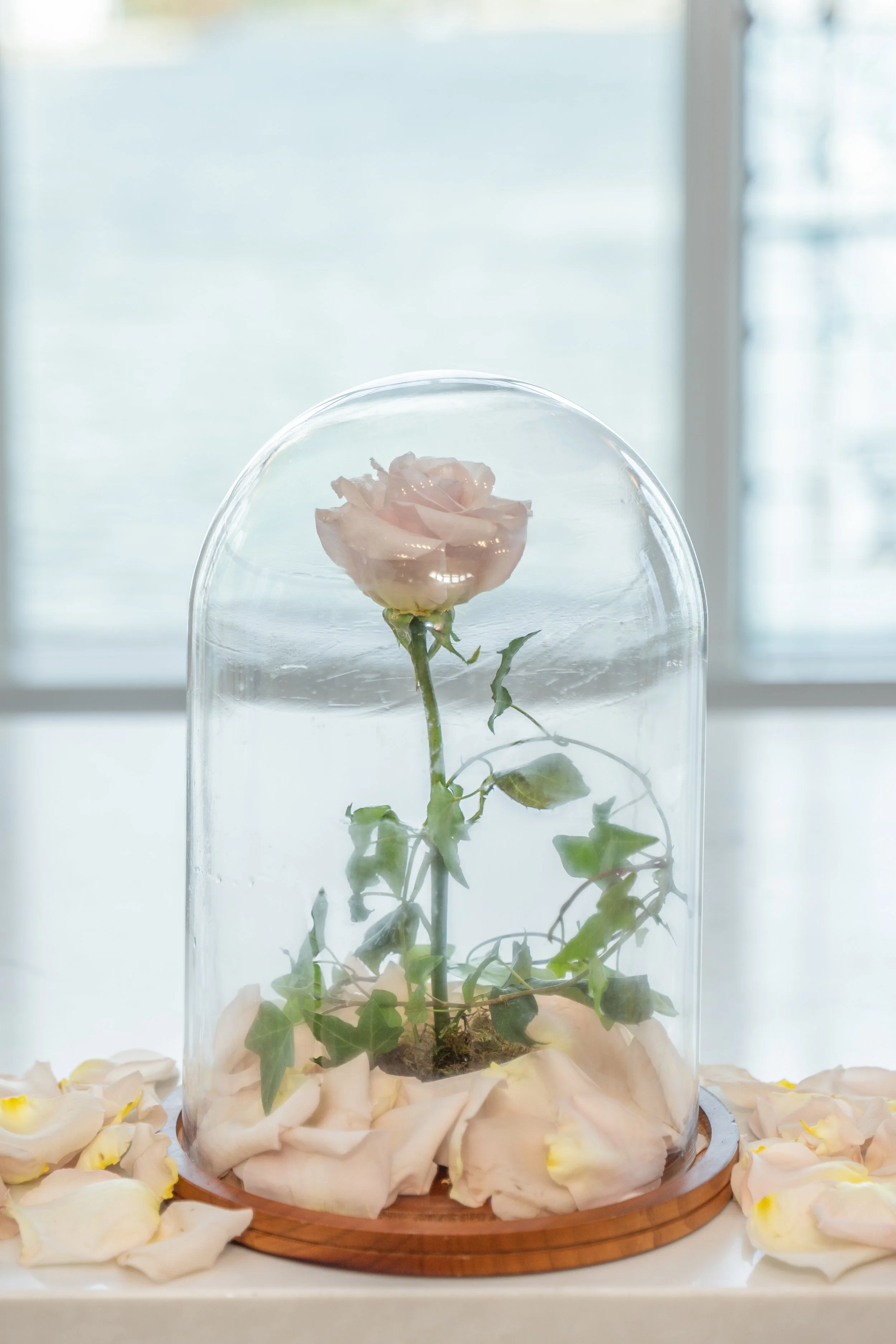 Tanya and Chris Disney Wedding-158.jpg