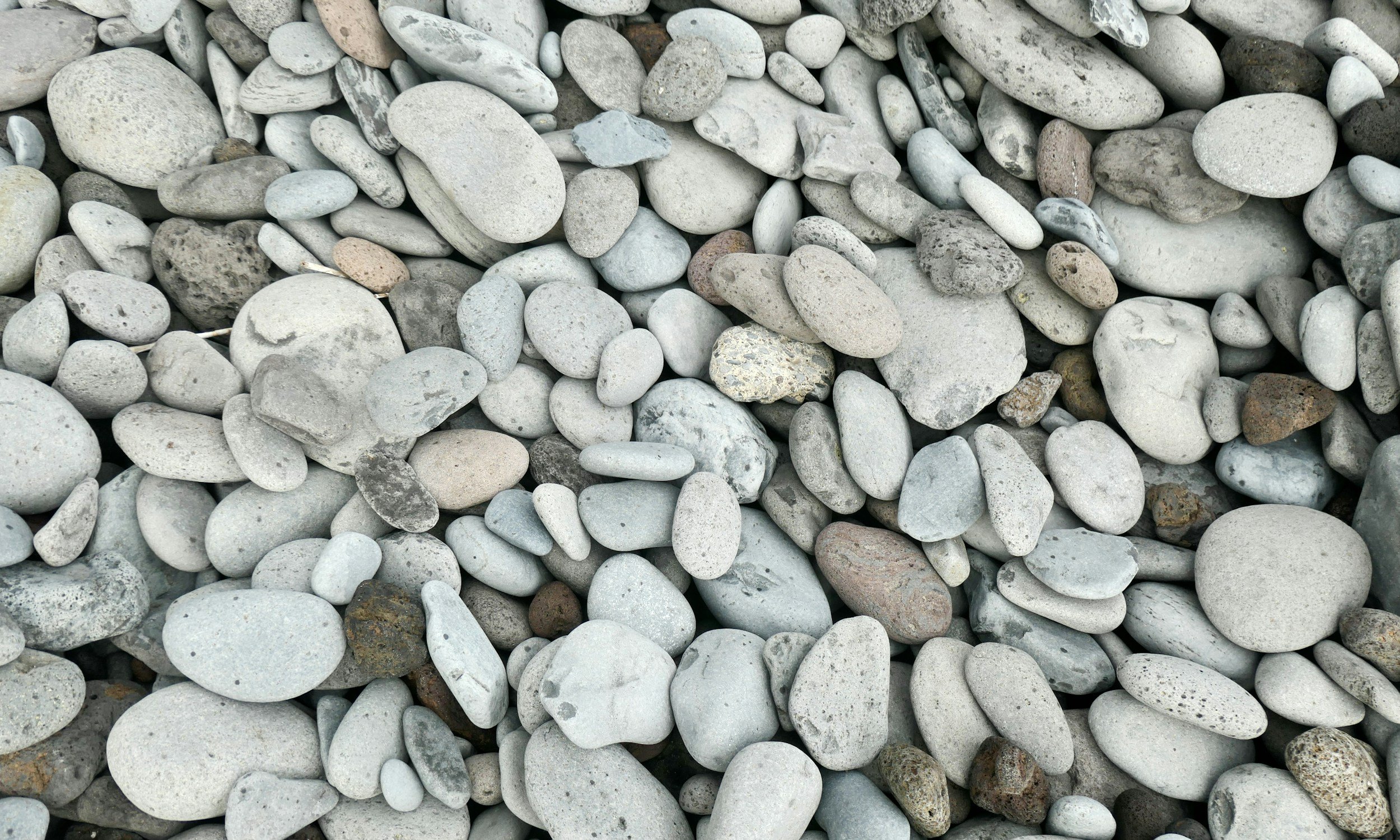 A close-up view of various smooth, rounded pebbles in shades of gray and white, scattered on a surface.