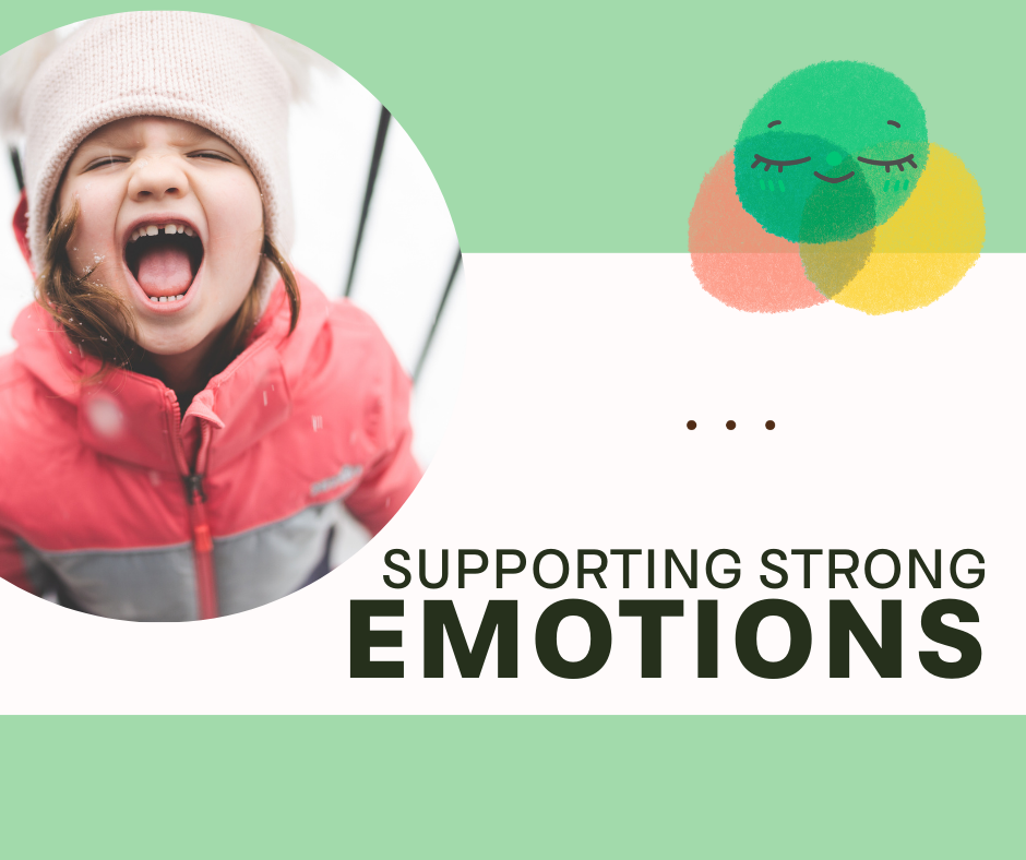 Supporting Strong Emotions | Luck Community Ed.
