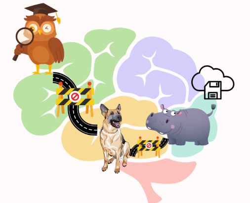 Regulation Before Expectation