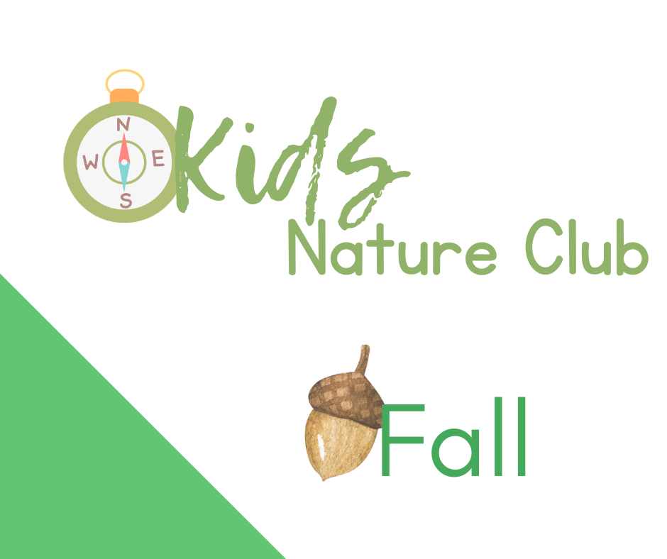 Kids Nature Club | Fall