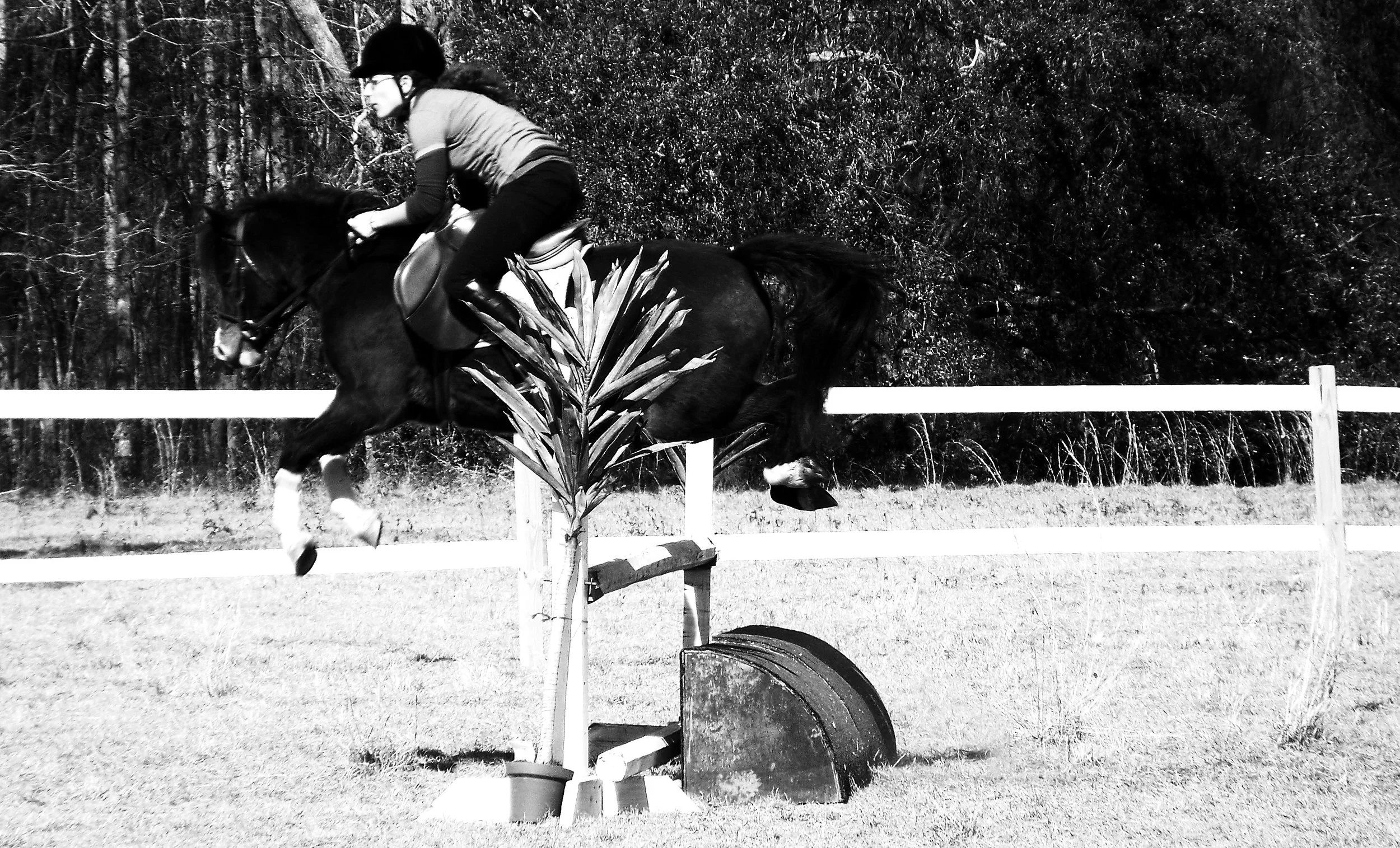 portfolio_riding01.jpg