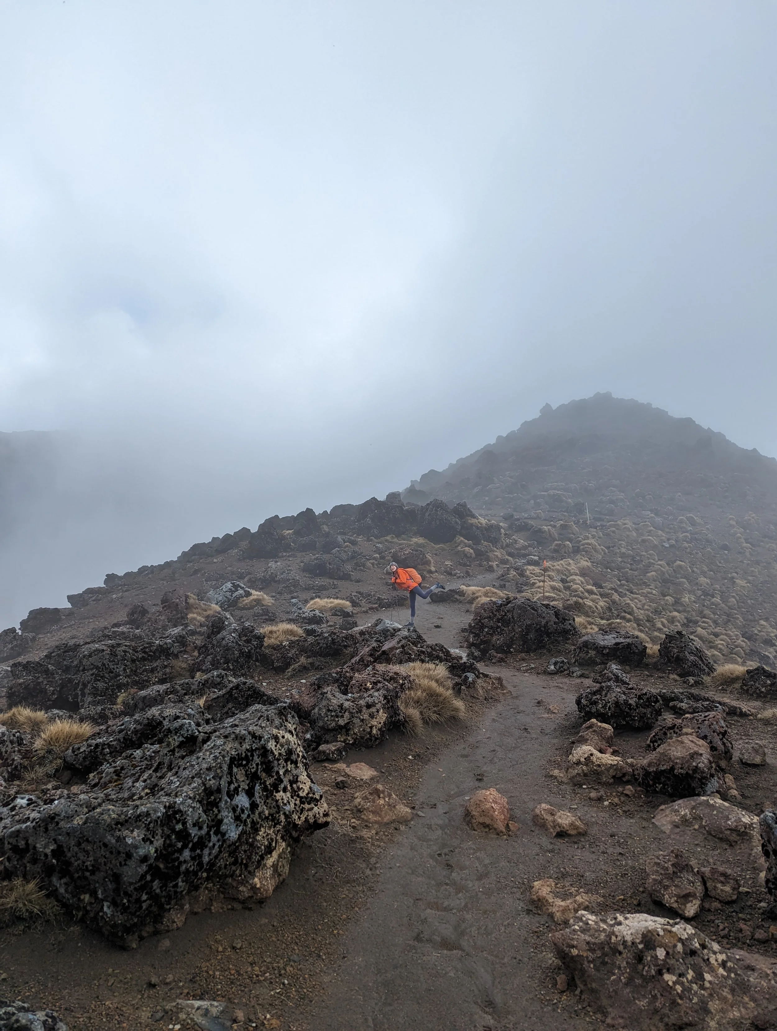 portfolio_kelsnewzealandvolcanichike.jpg