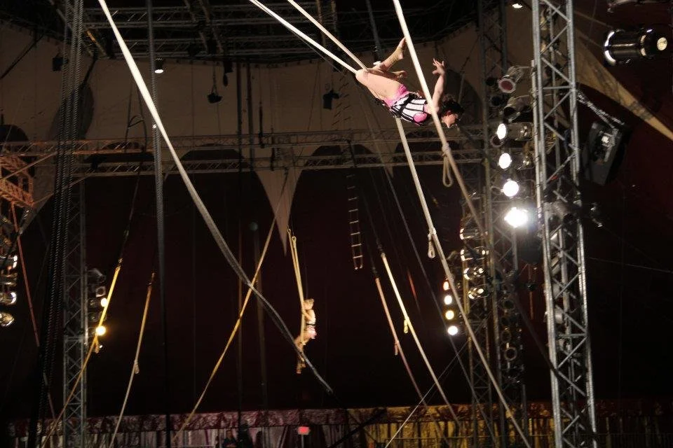 portfolio_circus04.jpg
