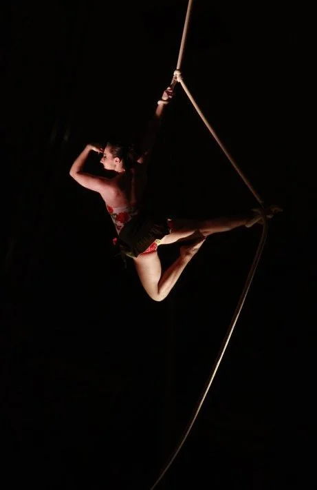 portfolio_circus02.jpg