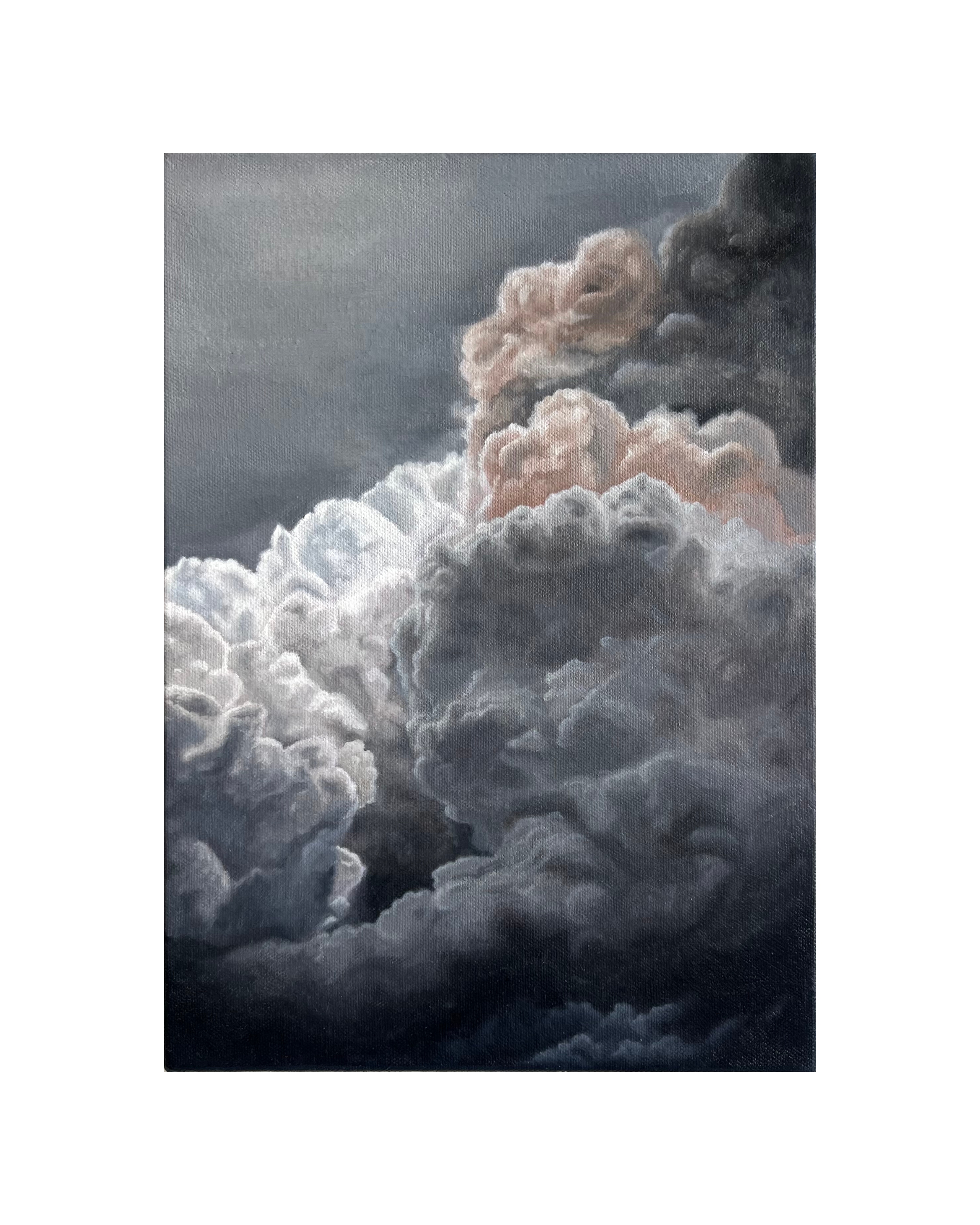 STORM
oil on canvas
25 x 35.5
SOLD