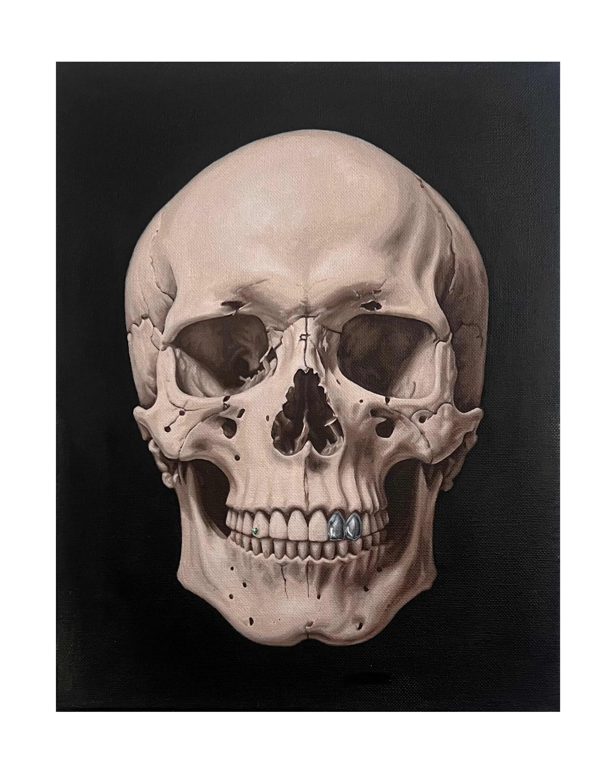 SKULL1
oil on canvas
28 x 36