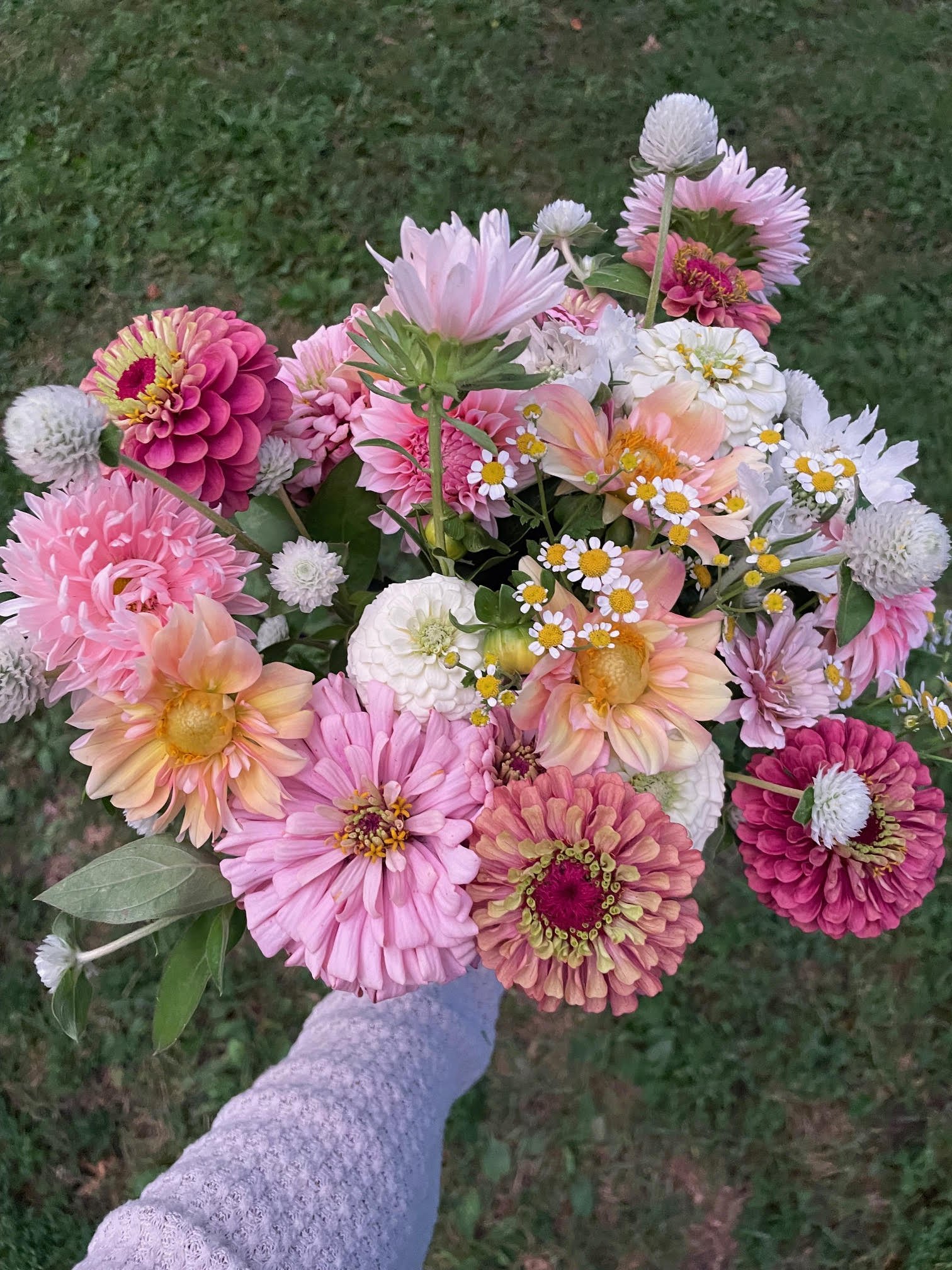 Mixed Bouquet Subscription