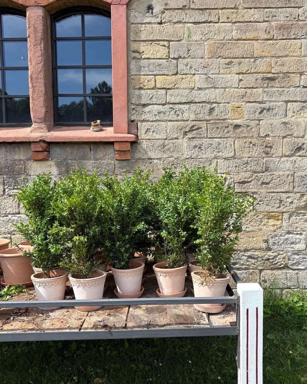 #hochzeitslocation #eventlocation #gew&ouml;lbescheune #geb&auml;udeumnutzung #m&auml;rchenhochzeit #hochzeitsdeko #weddingdecoration #weddingday #freietrauung #traumhochzeit #weddingvenue