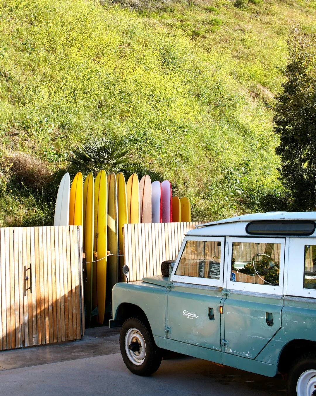 Golden light, ocean waves, salty air, and slow coastal days worth remembering. Welcome to @thesurfridermalibu ✨