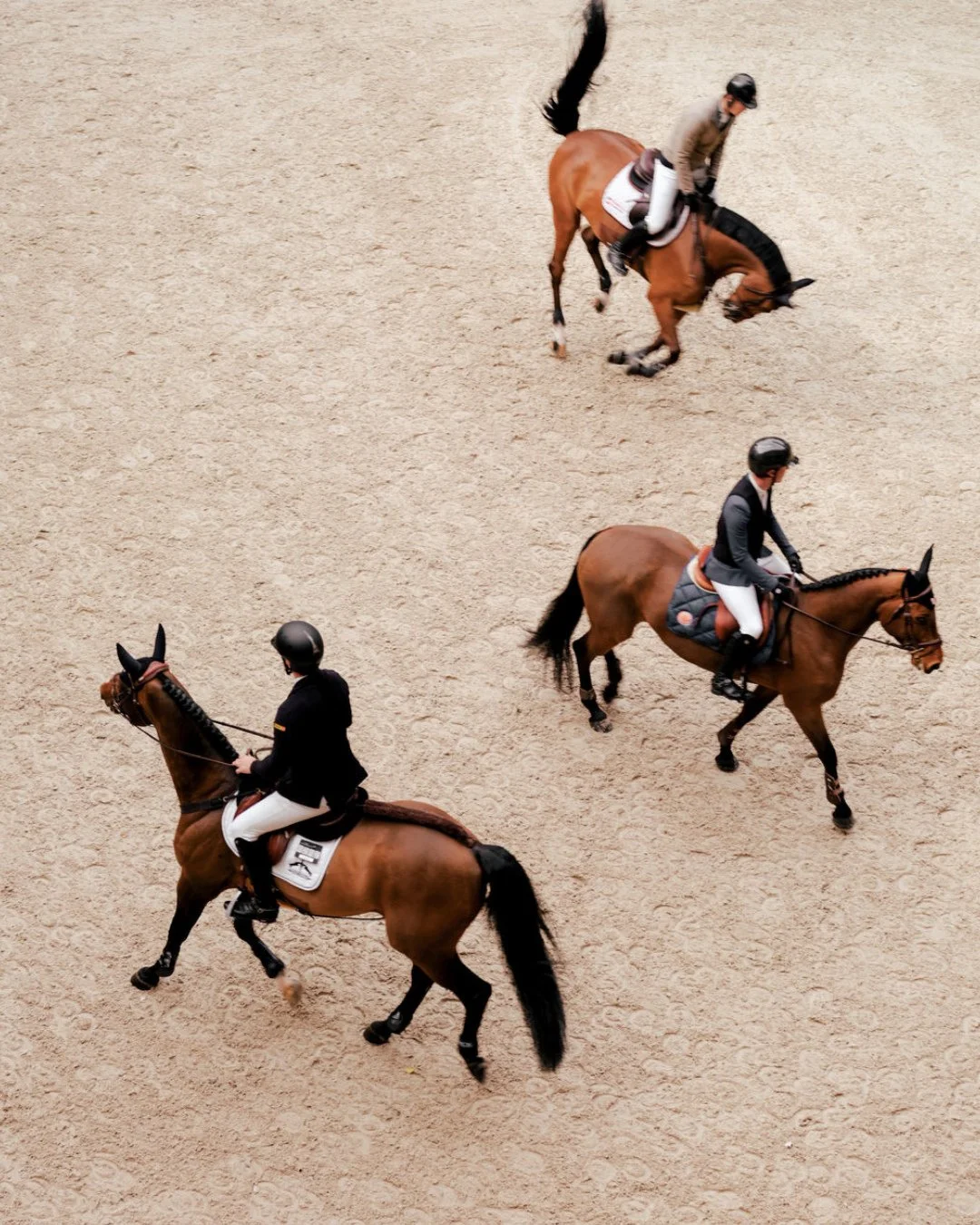 A new travel energy is on the horizon! 🐴✨⁠
⁠
Beginning February 17, the Chinese zodiac will enter a rare Fire Horse cycle for the first time in 60 years, bringing with it heightened energy, passion, and a push toward bold forward movement. In 2026, 