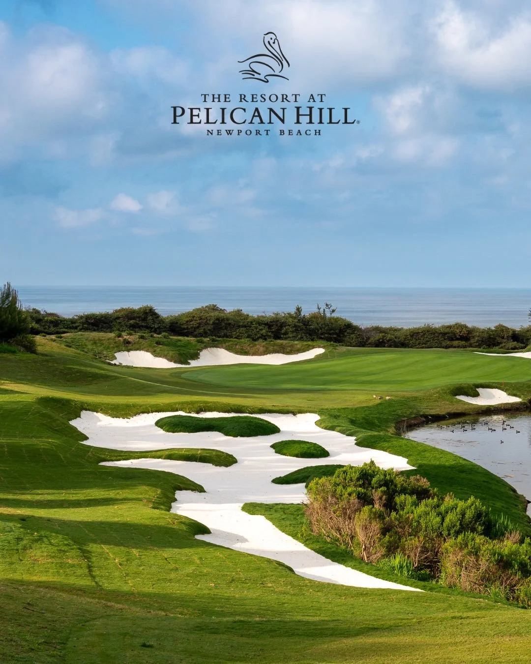 A new chapter in coastal California golf unfolds as the 𝐧𝐞𝐰𝐥𝐲 𝐫𝐞𝐬𝐭𝐨𝐫𝐞𝐝 𝐒𝐨𝐮𝐭𝐡 𝐂𝐨𝐮𝐫𝐬𝐞 at @pelicanhillgolfclub has officially debuted, marking the 𝐟𝐢𝐫𝐬𝐭 𝐞𝐯𝐨𝐥𝐮𝐭𝐢𝐨𝐧 𝐢𝐧 𝐭𝐡𝐞 𝐩𝐫𝐨𝐩𝐞𝐫𝐭𝐲&rsquo;𝐬 𝐭𝐫𝐚𝐧𝐬𝐟𝐨