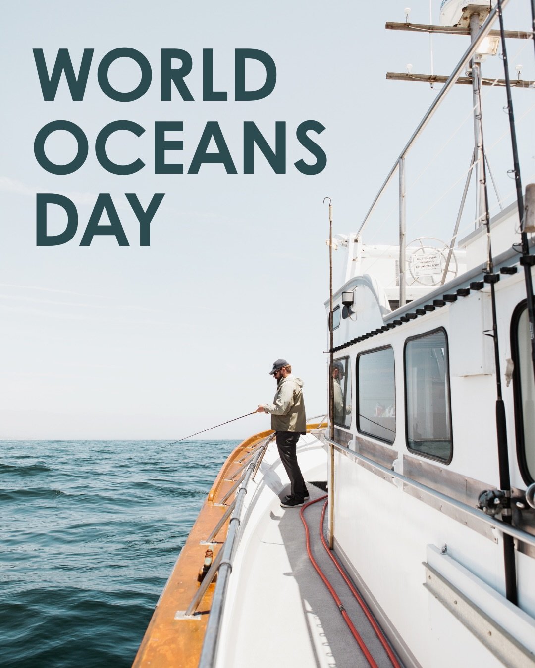 This World Oceans Day, we&rsquo;re celebrating a collection of hotels, restaurants, and coastal destinations that invite guests to forge a deeper connection with the waters, wildlife, and ecosystems that make their communities so special.

Whether th