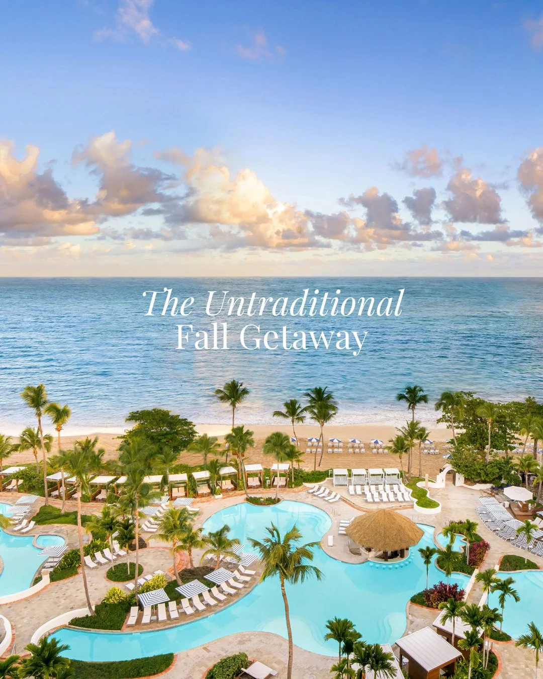 Our fall travel forecast? Anything but traditional.⁠
⁠
For those looking beyond the usual leaf-peeping destinations, we're embracing a different side of the season. From wine country harvests to tropical escapes, here's where we're heading this fall: