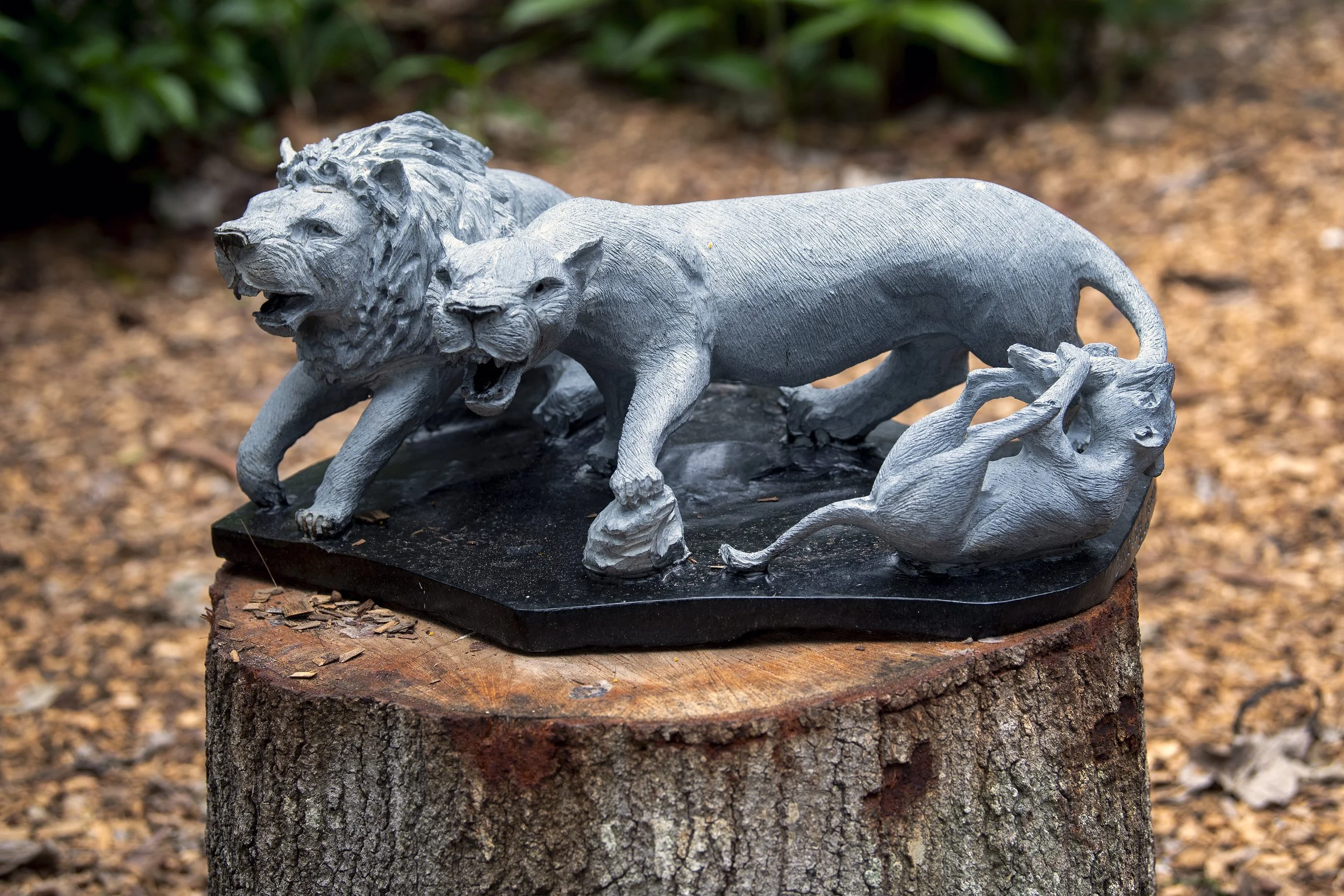 family of lions.jpg