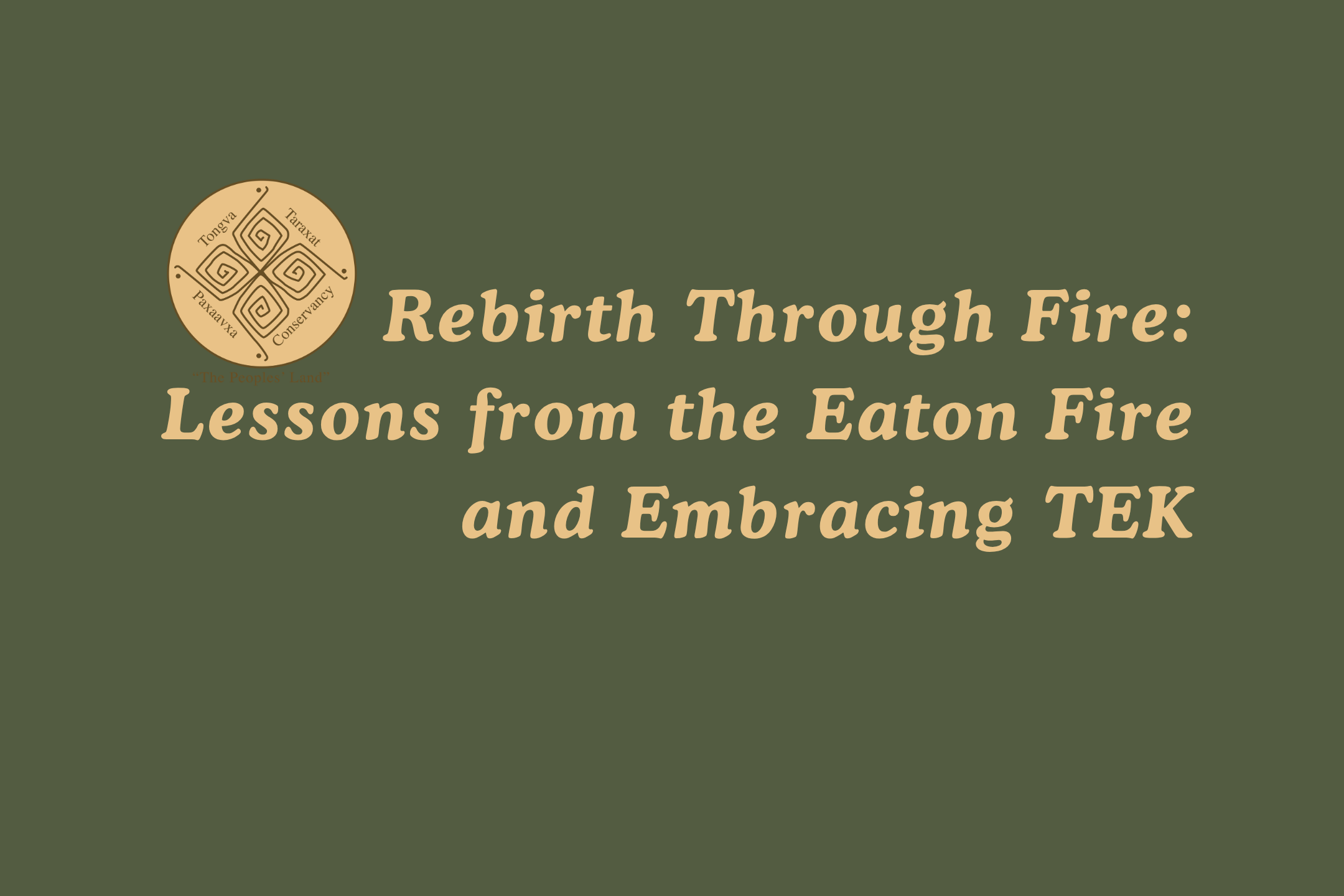 Webinar: Rebirth Through Fire