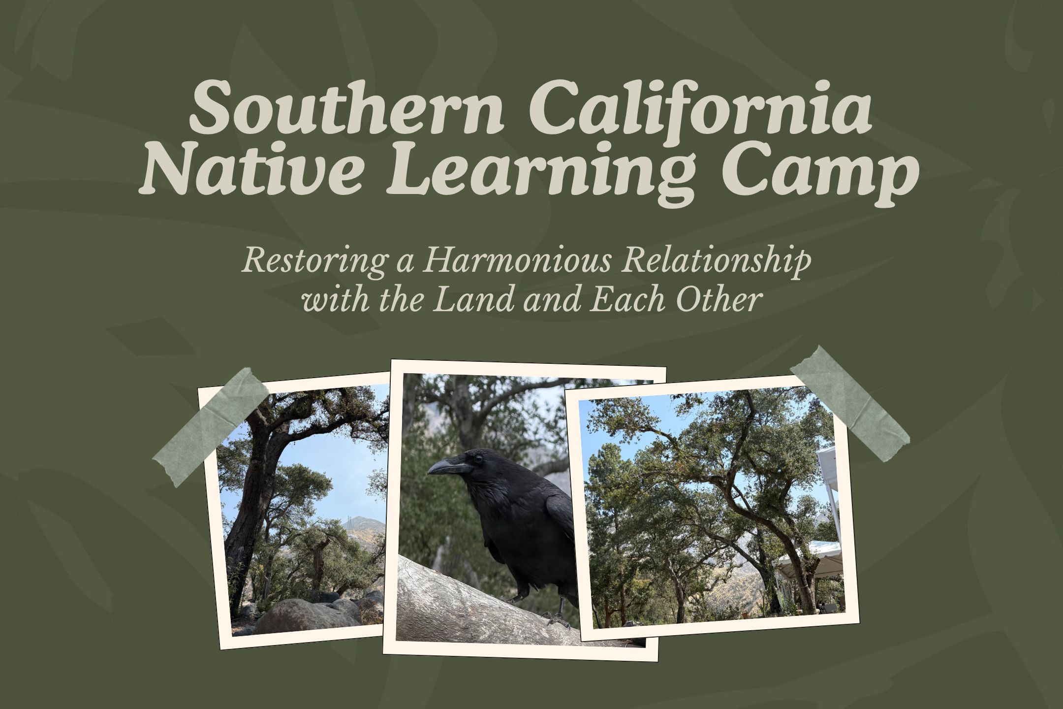 Southern California Native Learning Camp