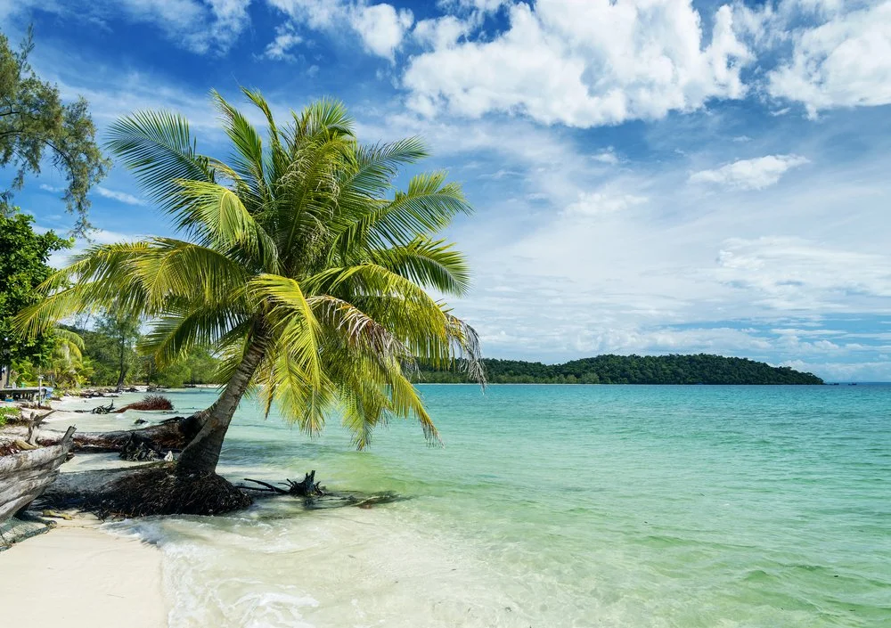 shutterstock_387907888 (1).jpg