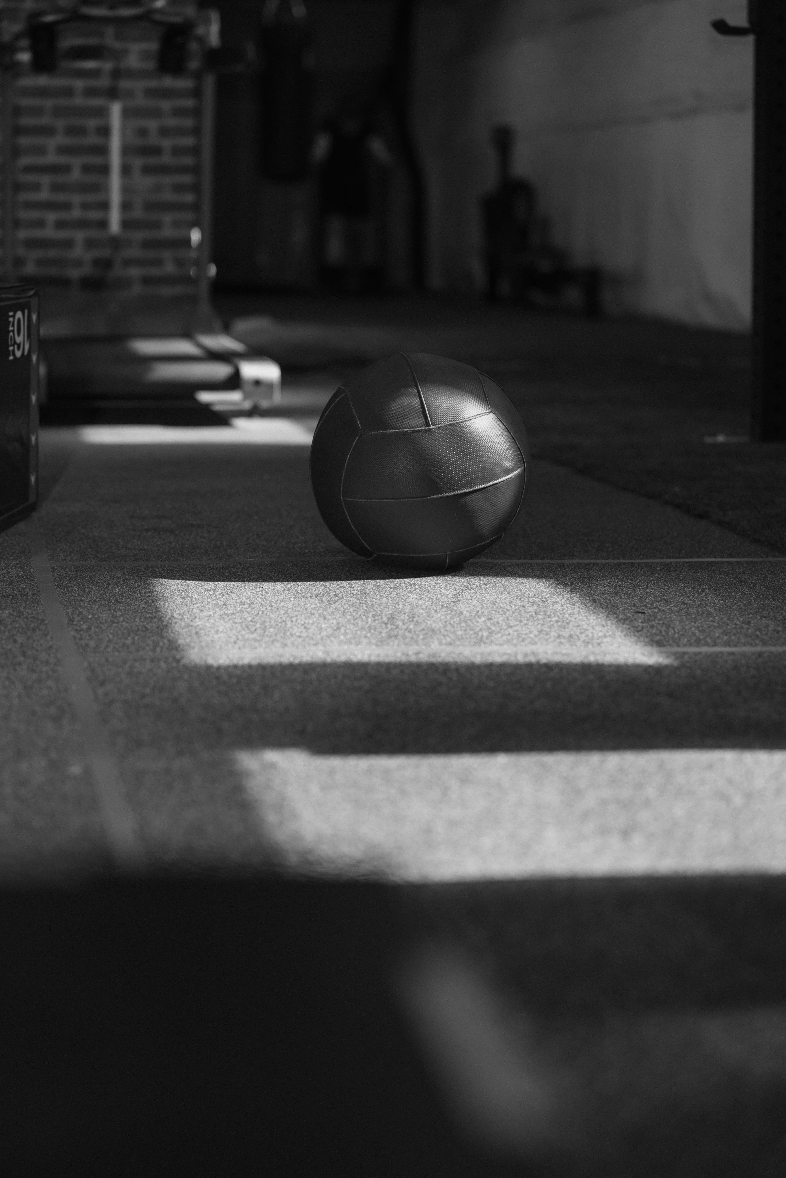 11-_V2A5586.jpg