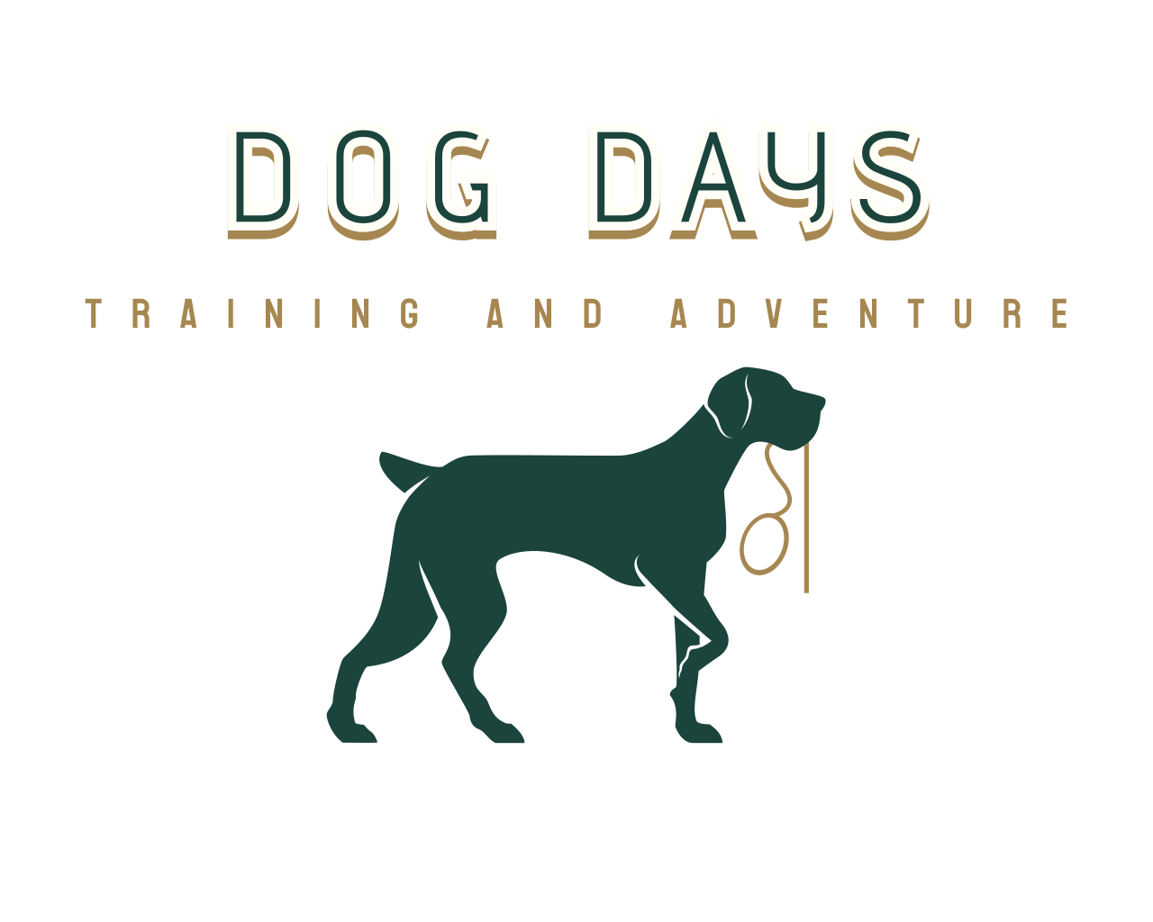 Training At Waggy Warehouse